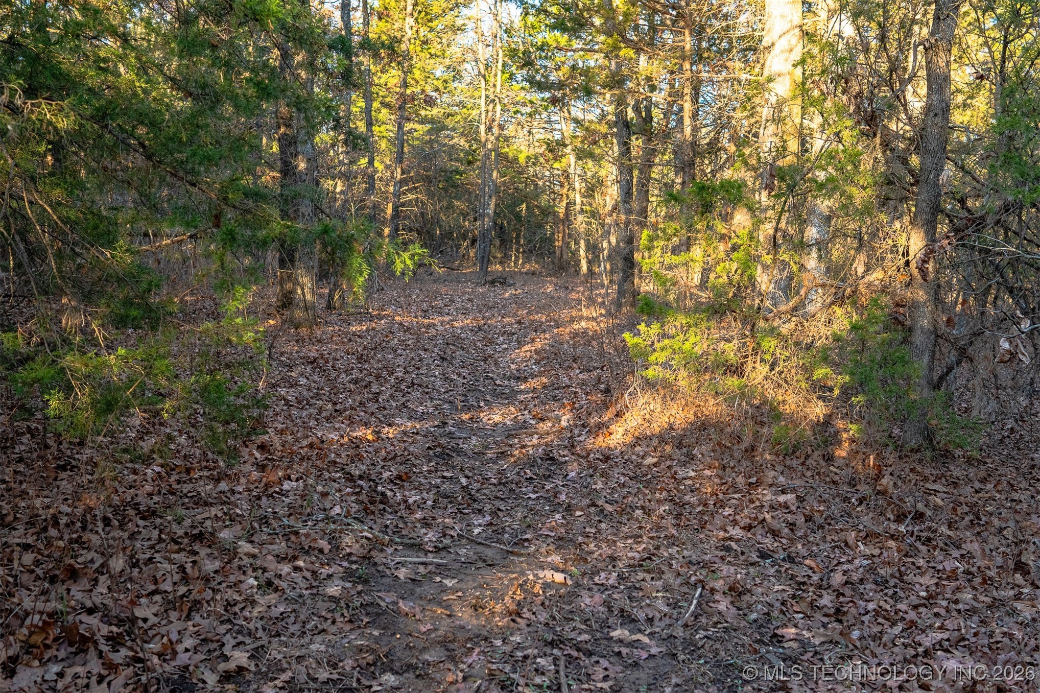 1 S Hwy 99 Property Photo 52