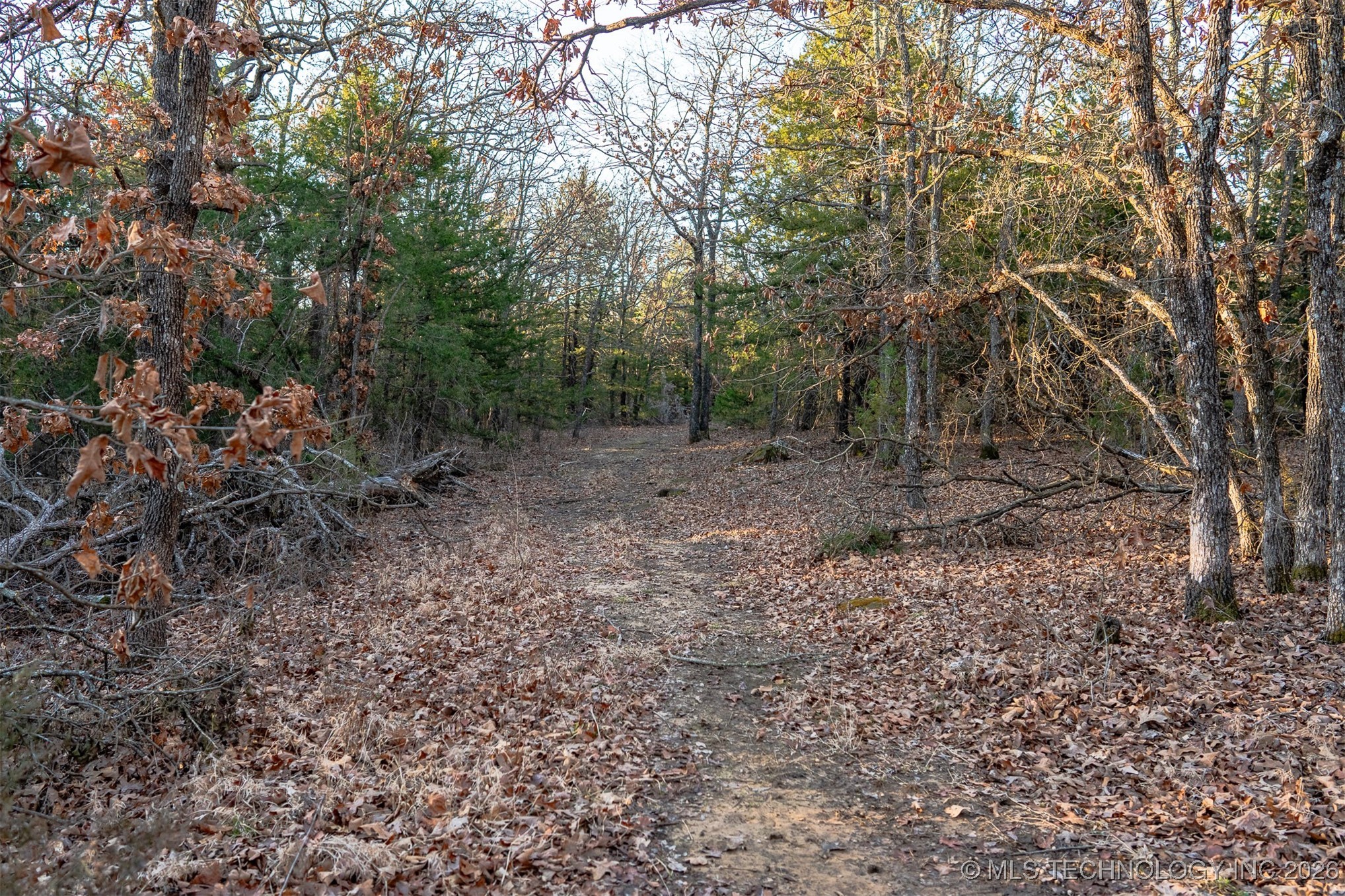 1 S Hwy 99 Property Photo 53