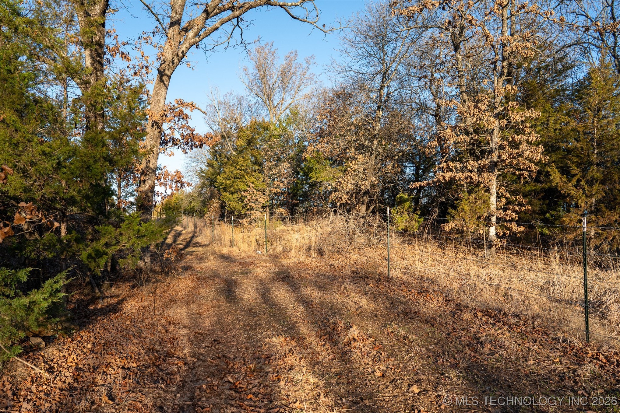 1 S Hwy 99 Property Photo 54
