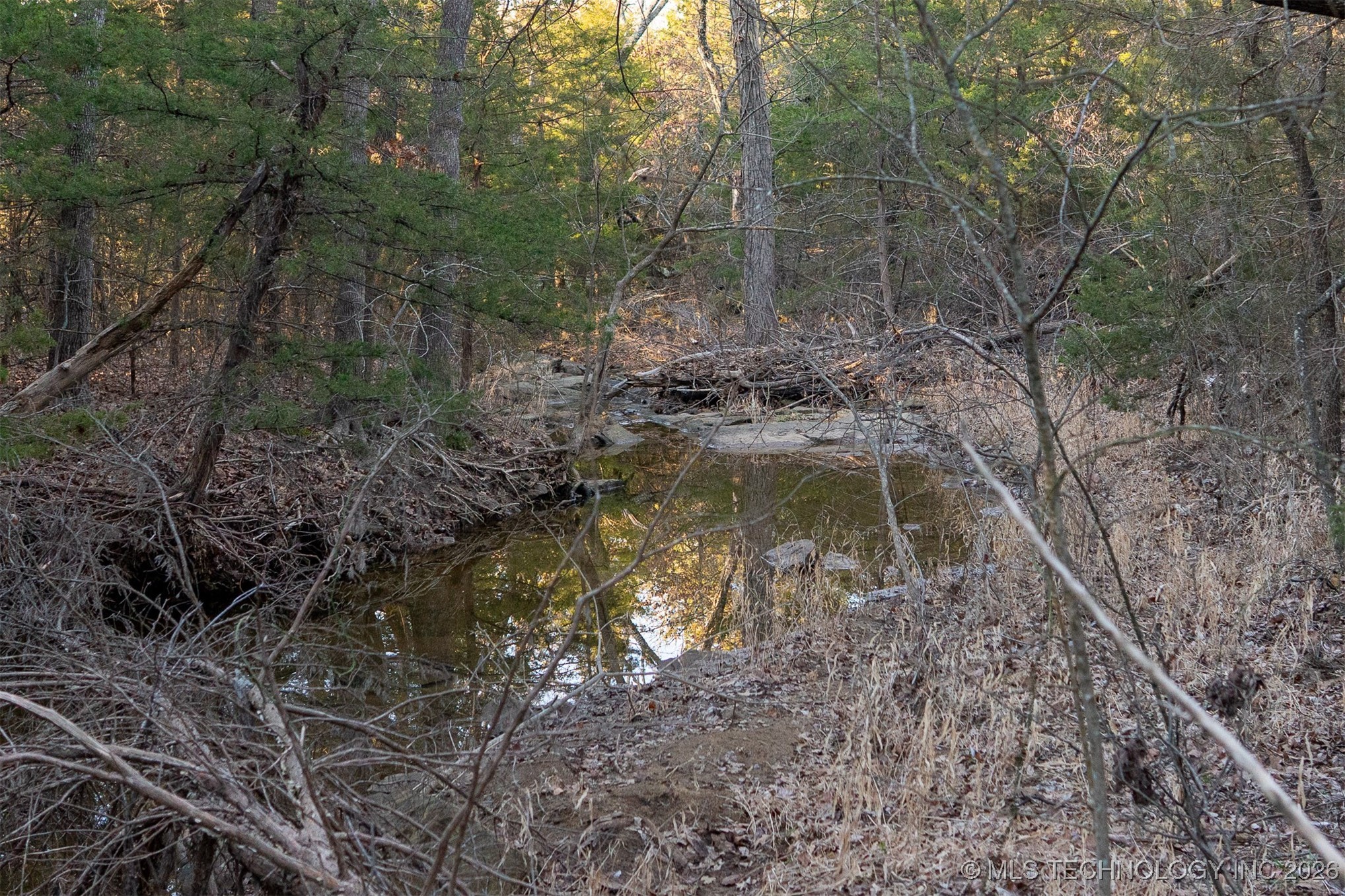 1 S Hwy 99 Property Photo 57