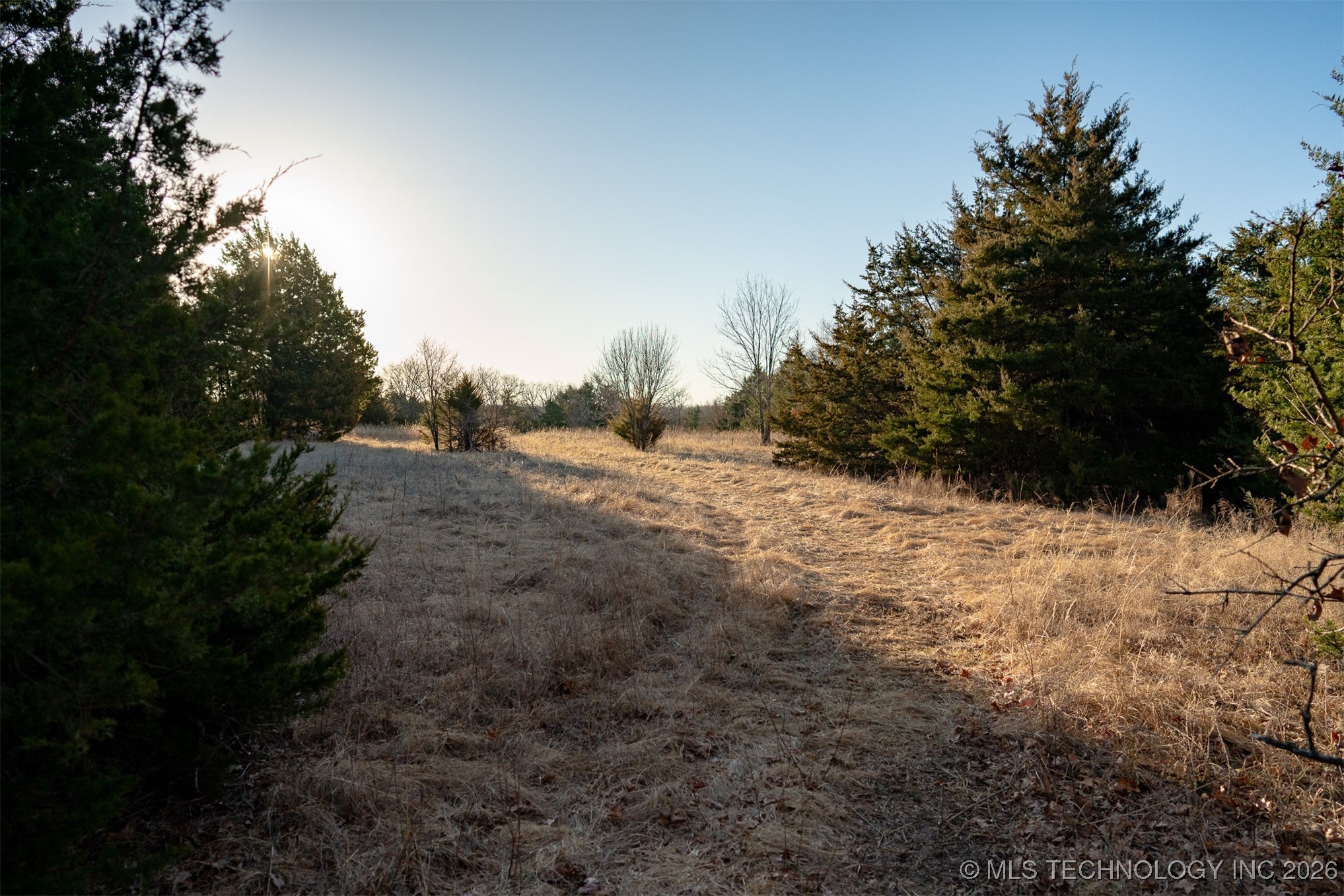 1 S Hwy 99 Property Photo 59