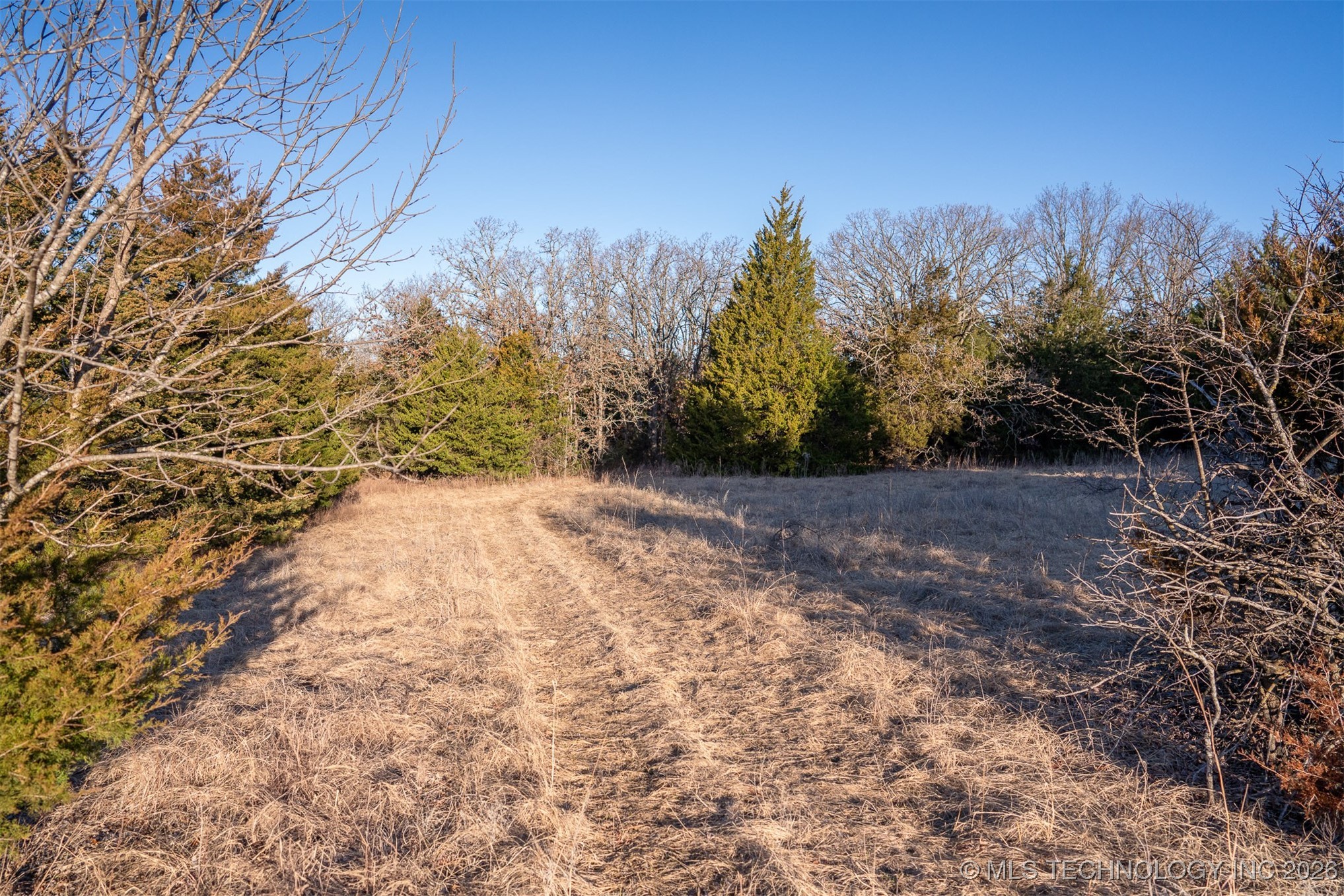 1 S Hwy 99 Property Photo 60