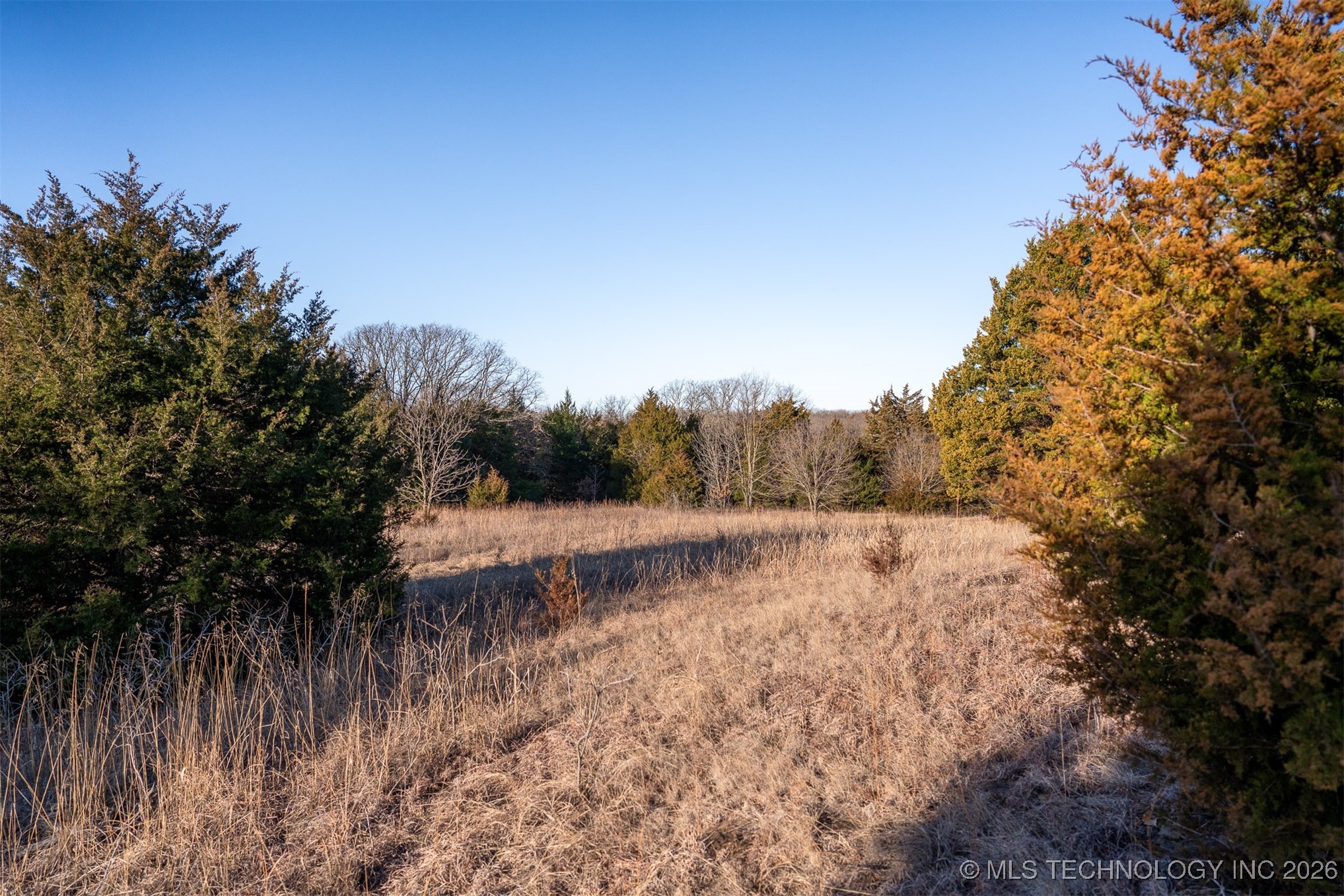 1 S Hwy 99 Property Photo 61