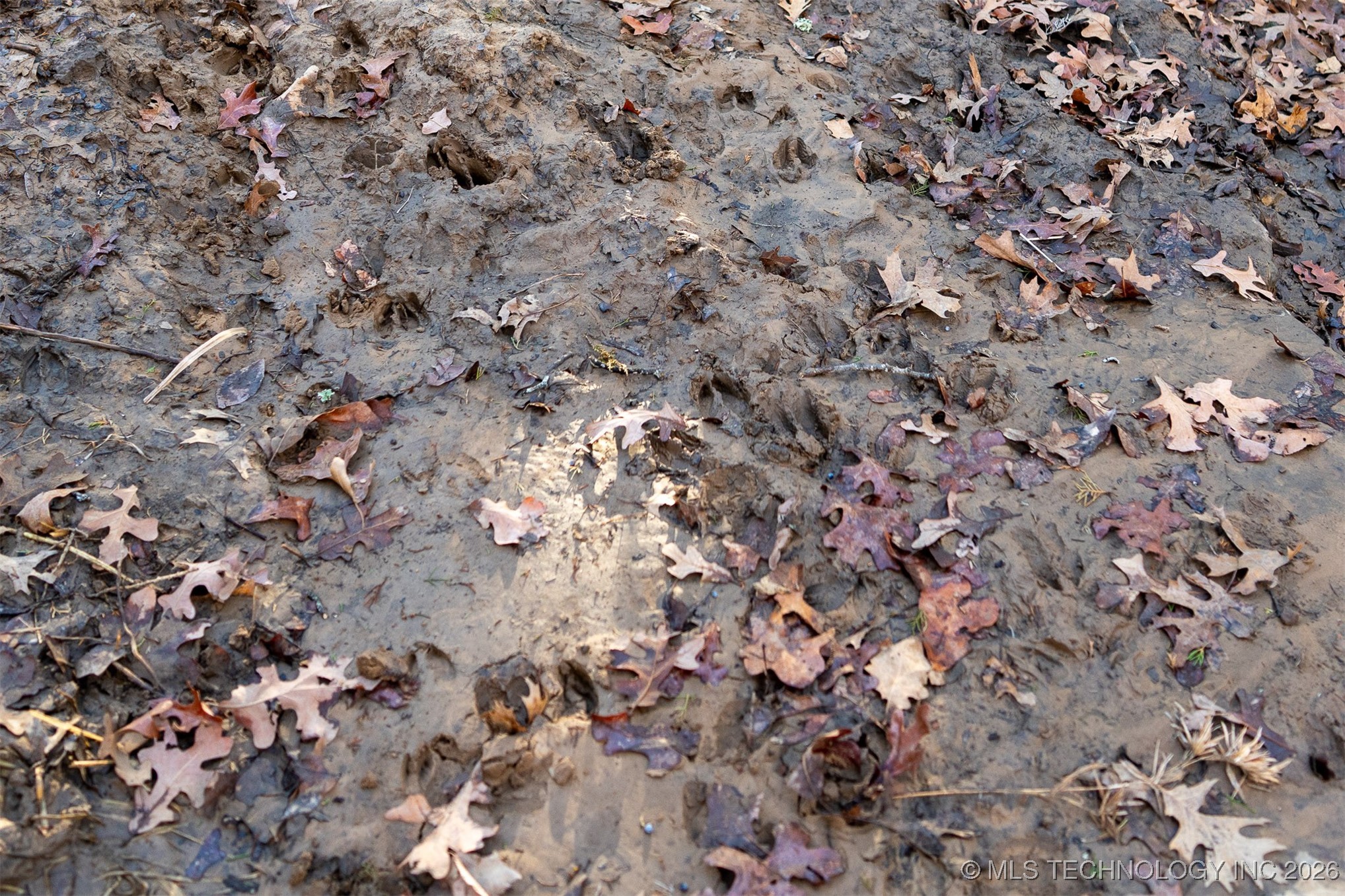 1 S Hwy 99 Property Photo 65