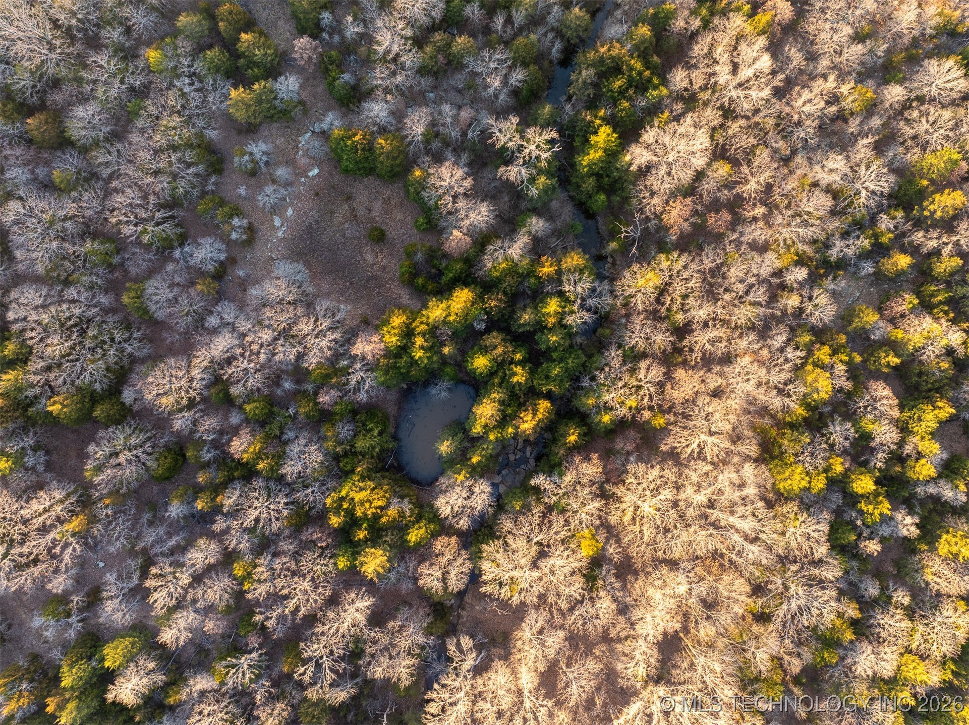 1 S Hwy 99 Property Photo 67