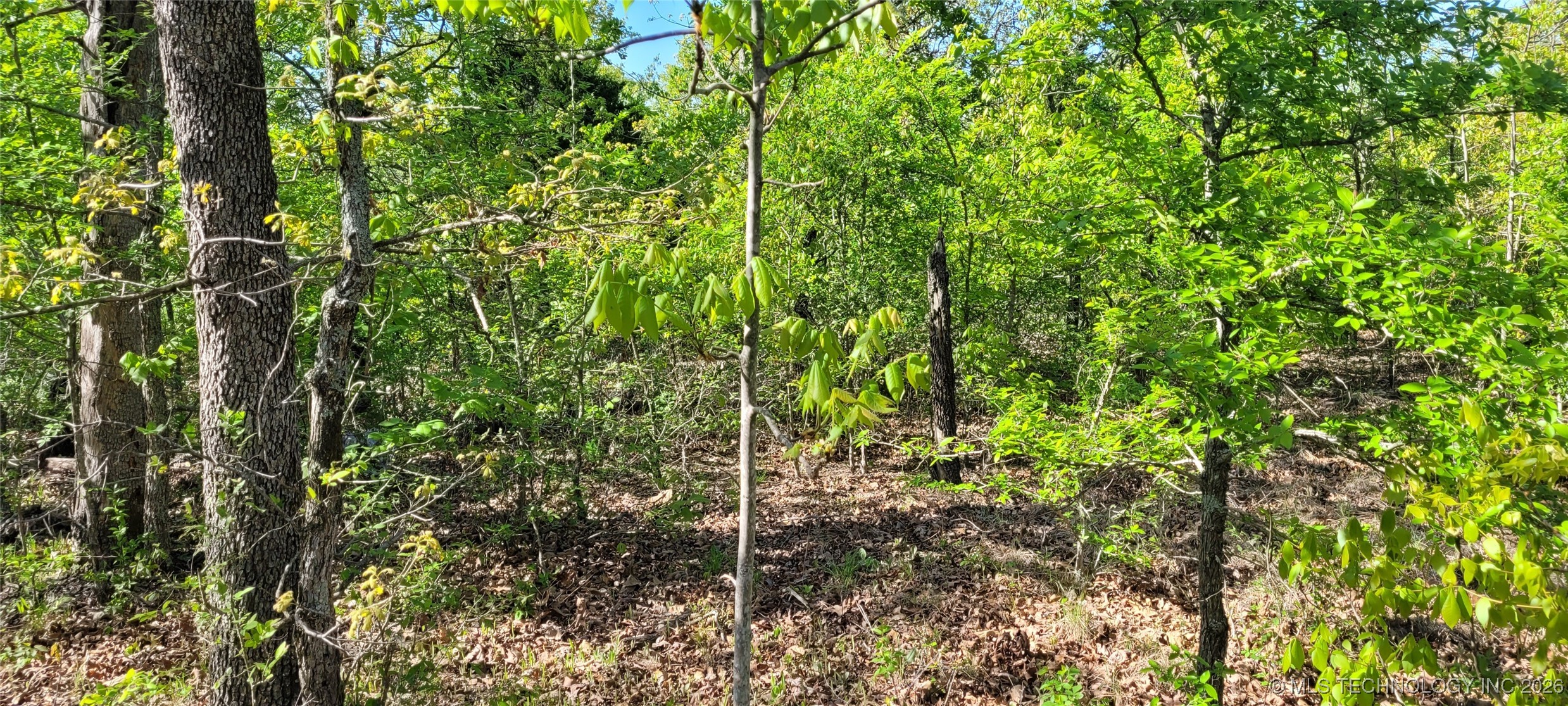 0 1235 Drive Property Photo 12