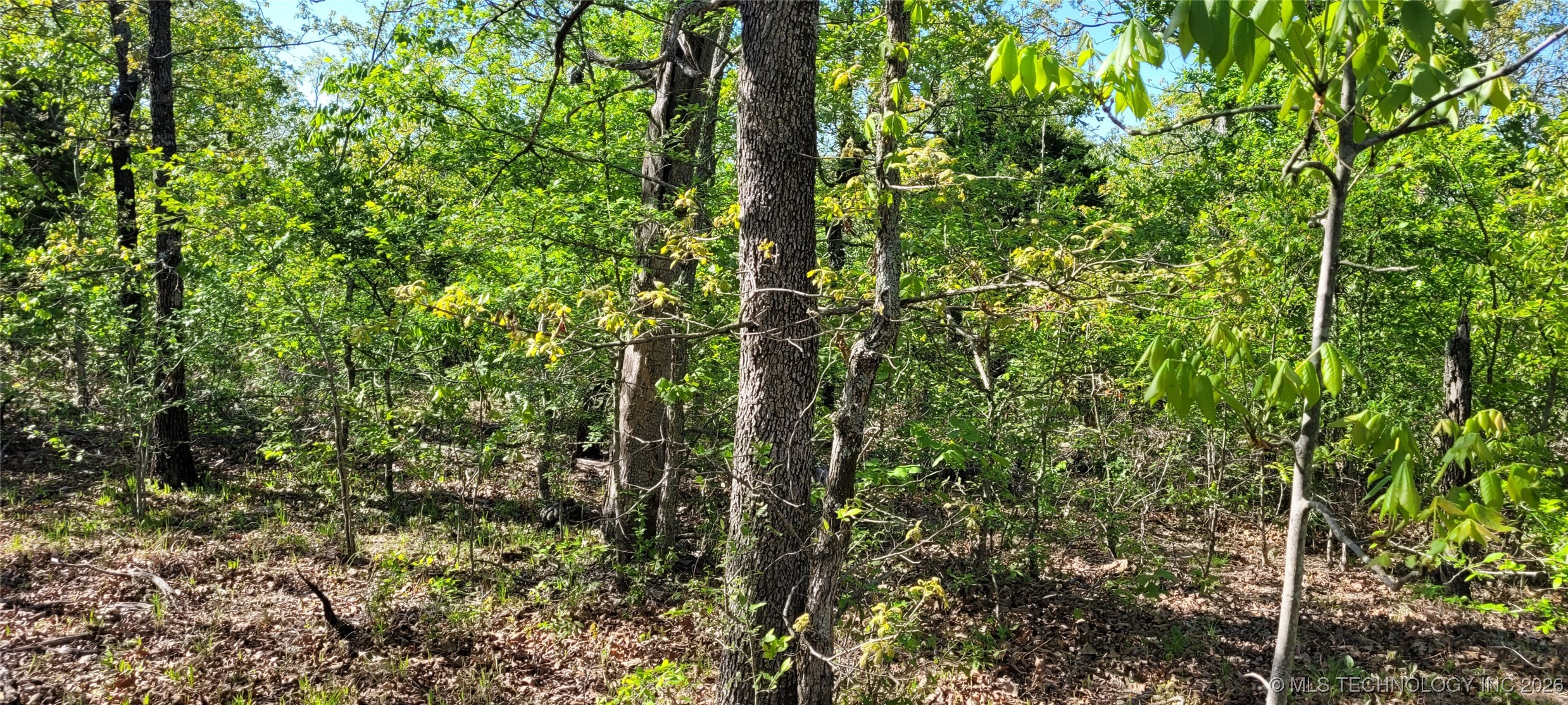 0 1235 Drive Property Photo 13