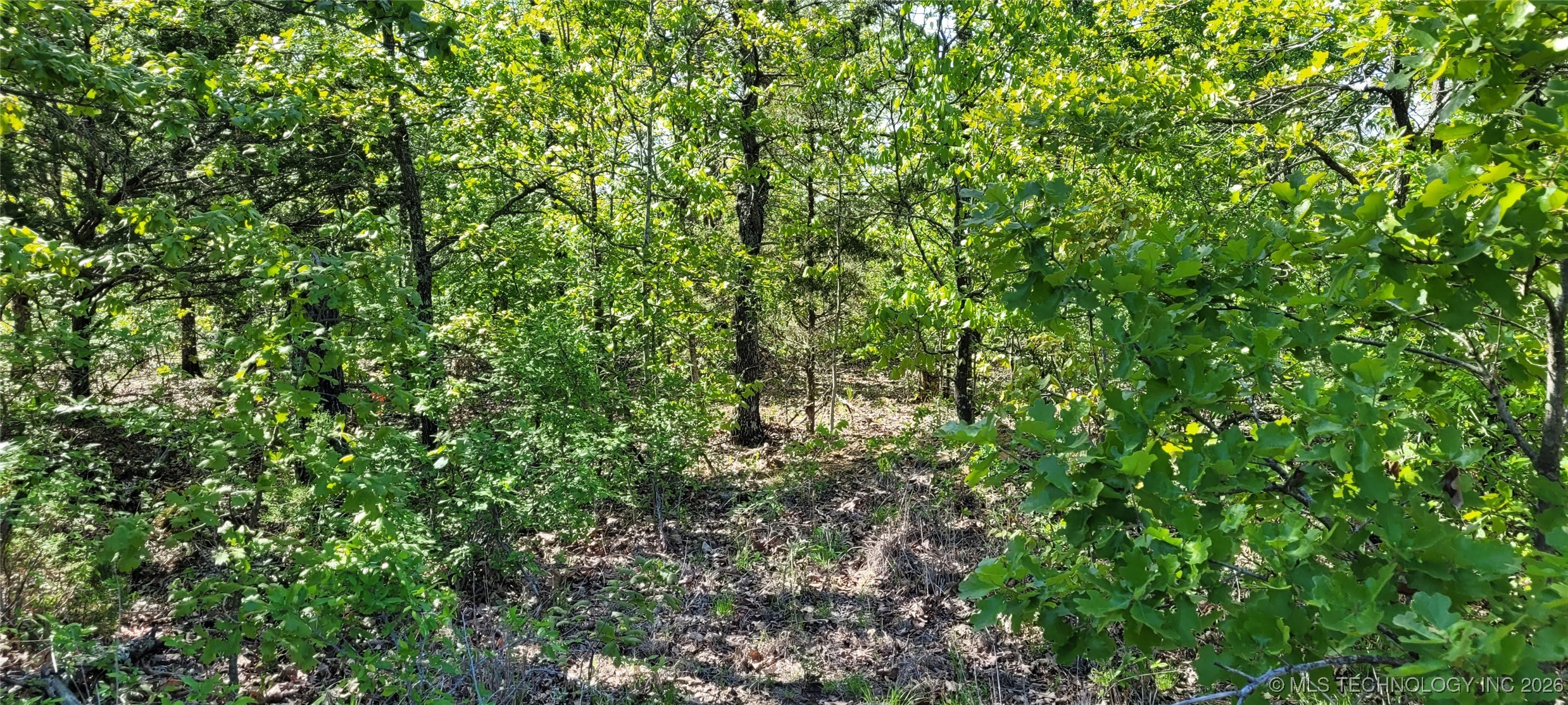 0 1235 Drive Property Photo 14