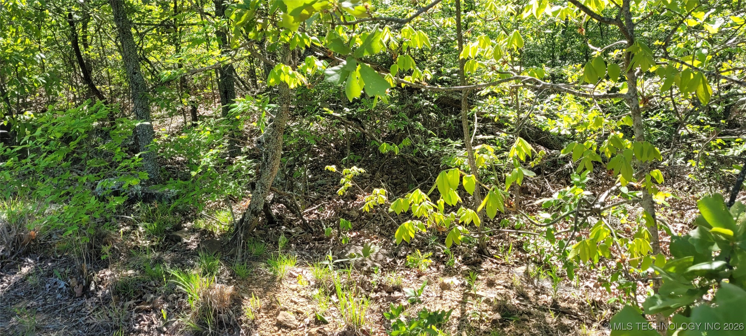 0 1235 Drive Property Photo 15