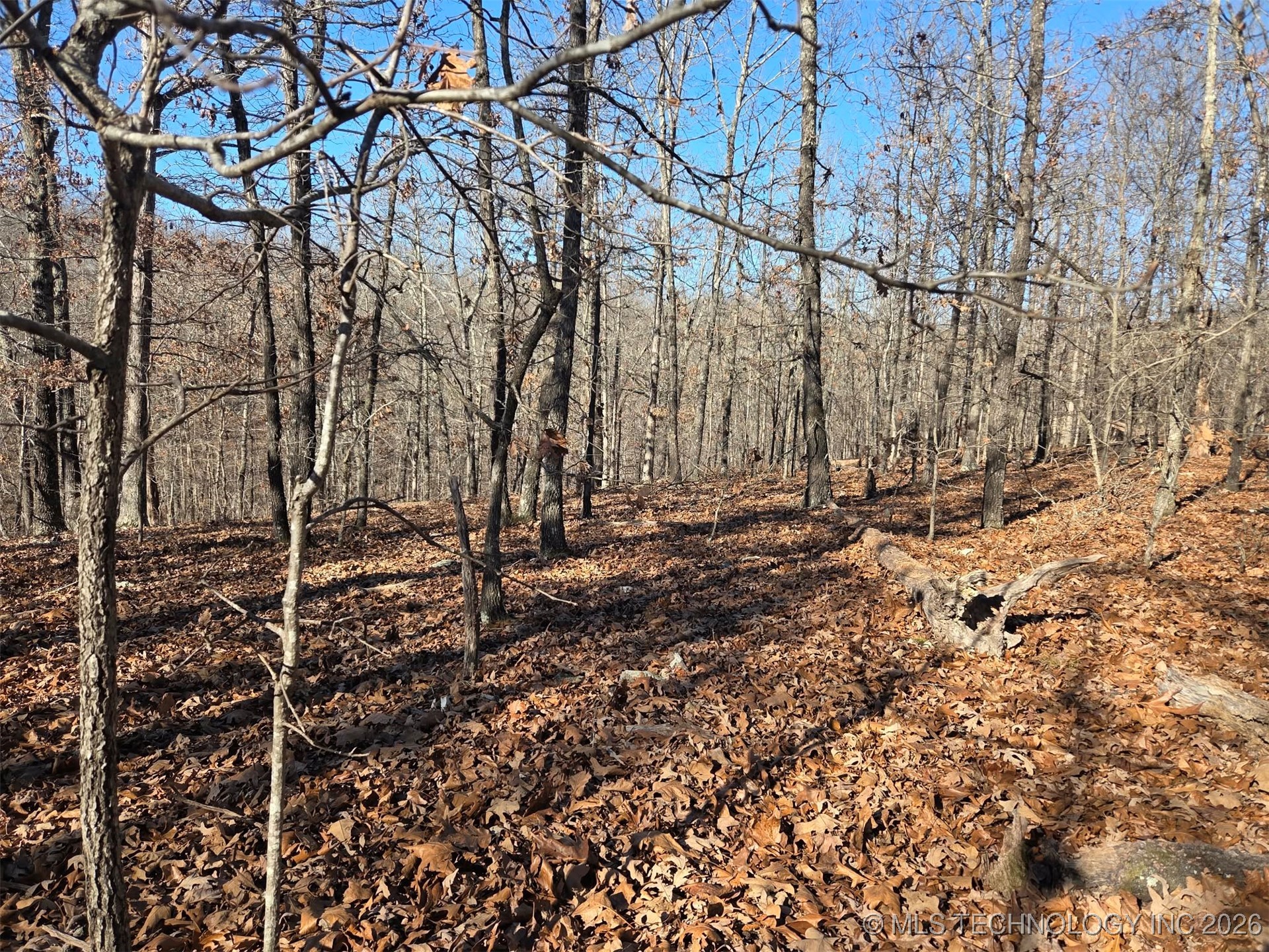 465030 Mcspadden Ridge Property Photo 3