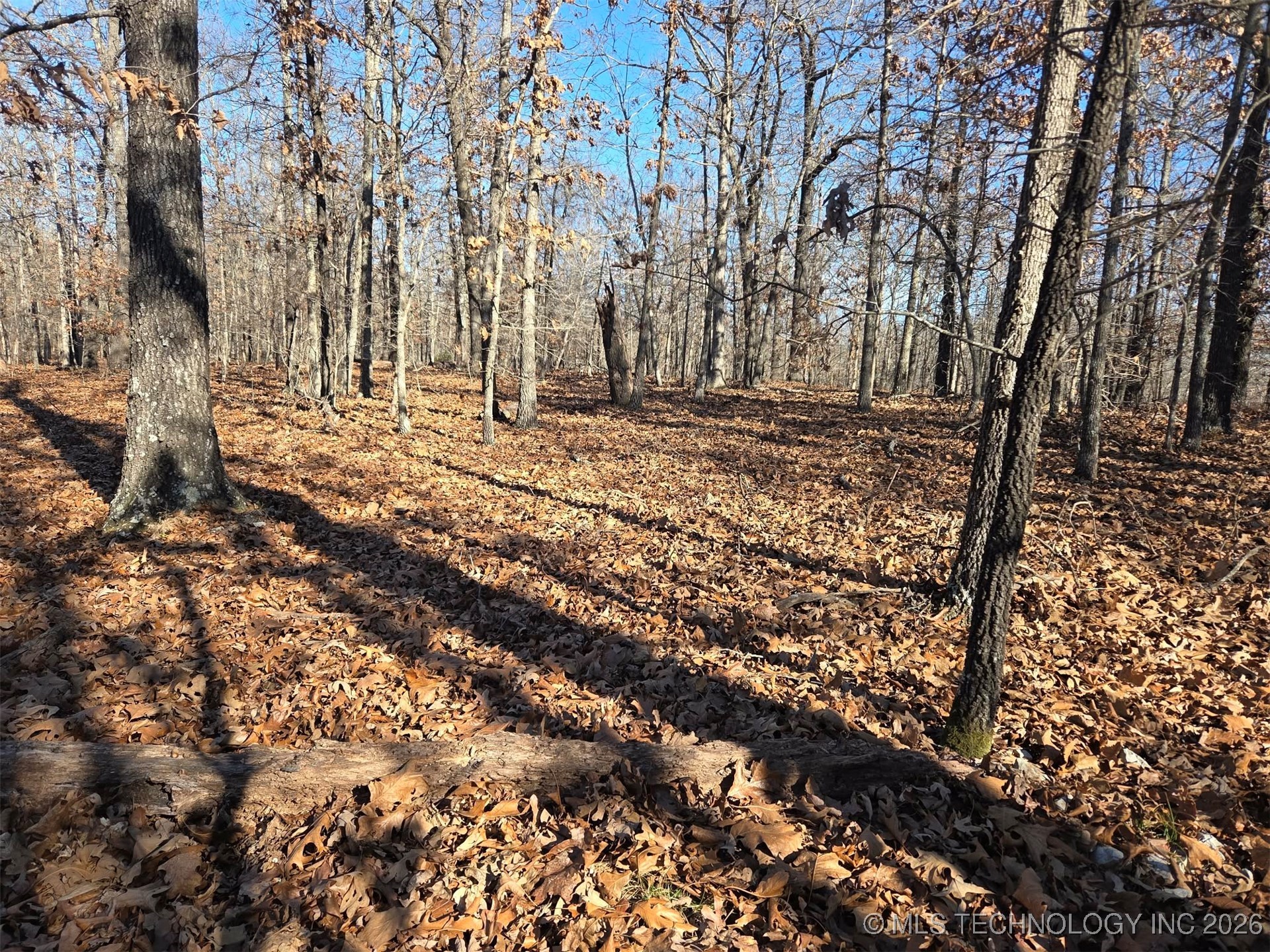 465030 Mcspadden Ridge Property Photo 4