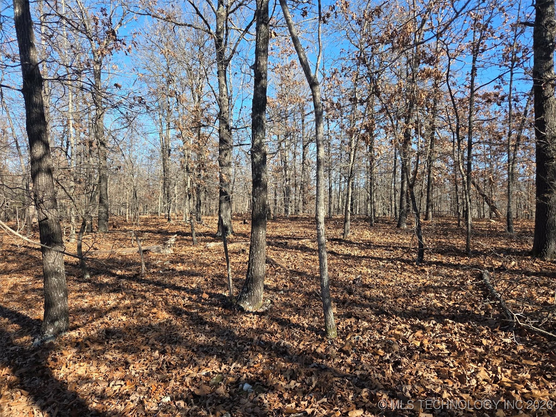 465030 Mcspadden Ridge Property Photo 5