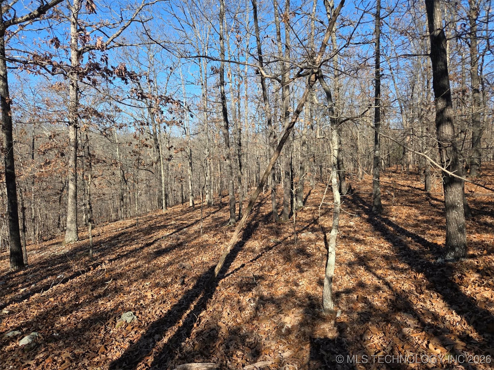 465030 Mcspadden Ridge Property Photo 6