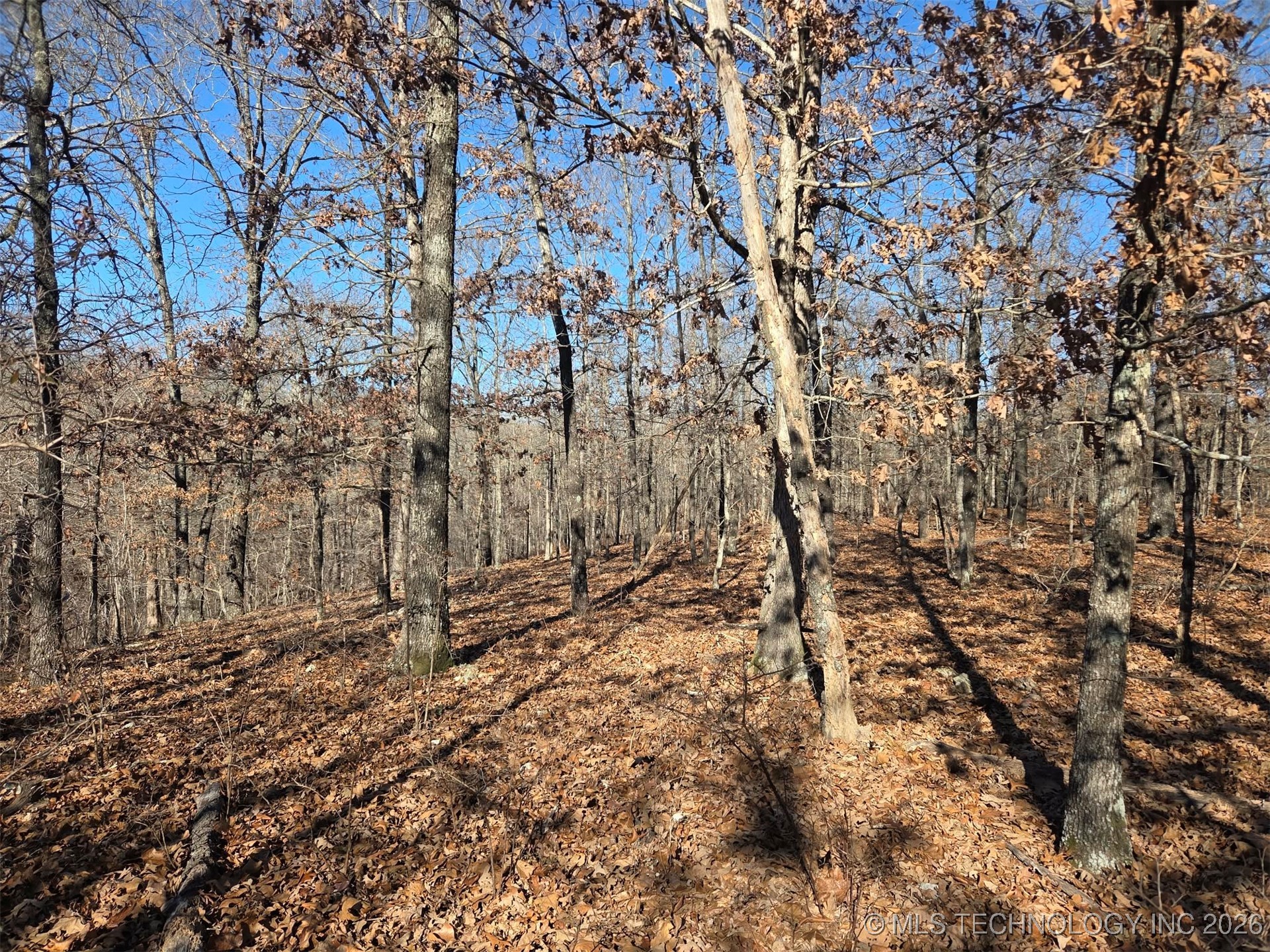 465030 Mcspadden Ridge Property Photo 7