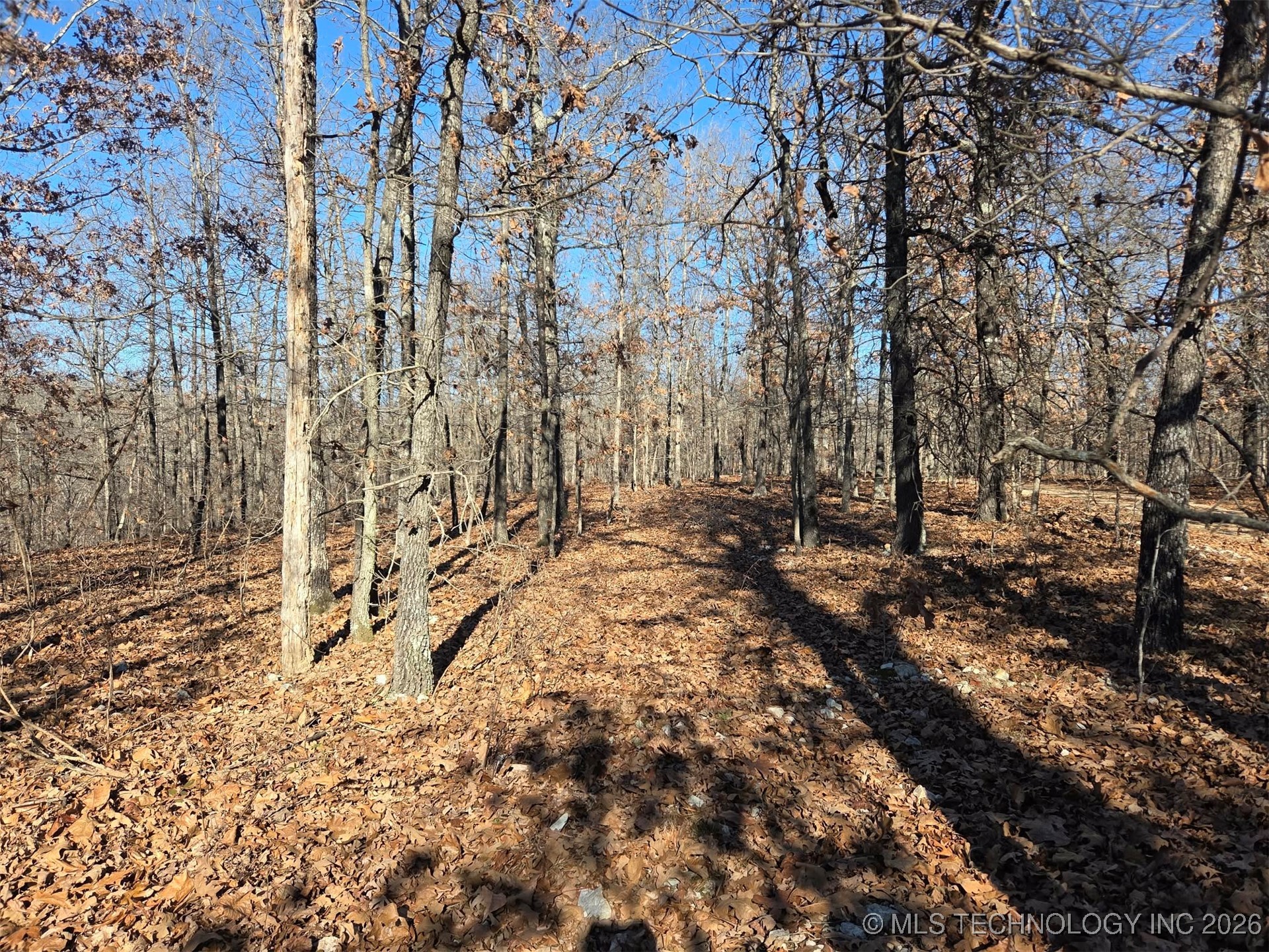 465030 Mcspadden Ridge Property Photo 8