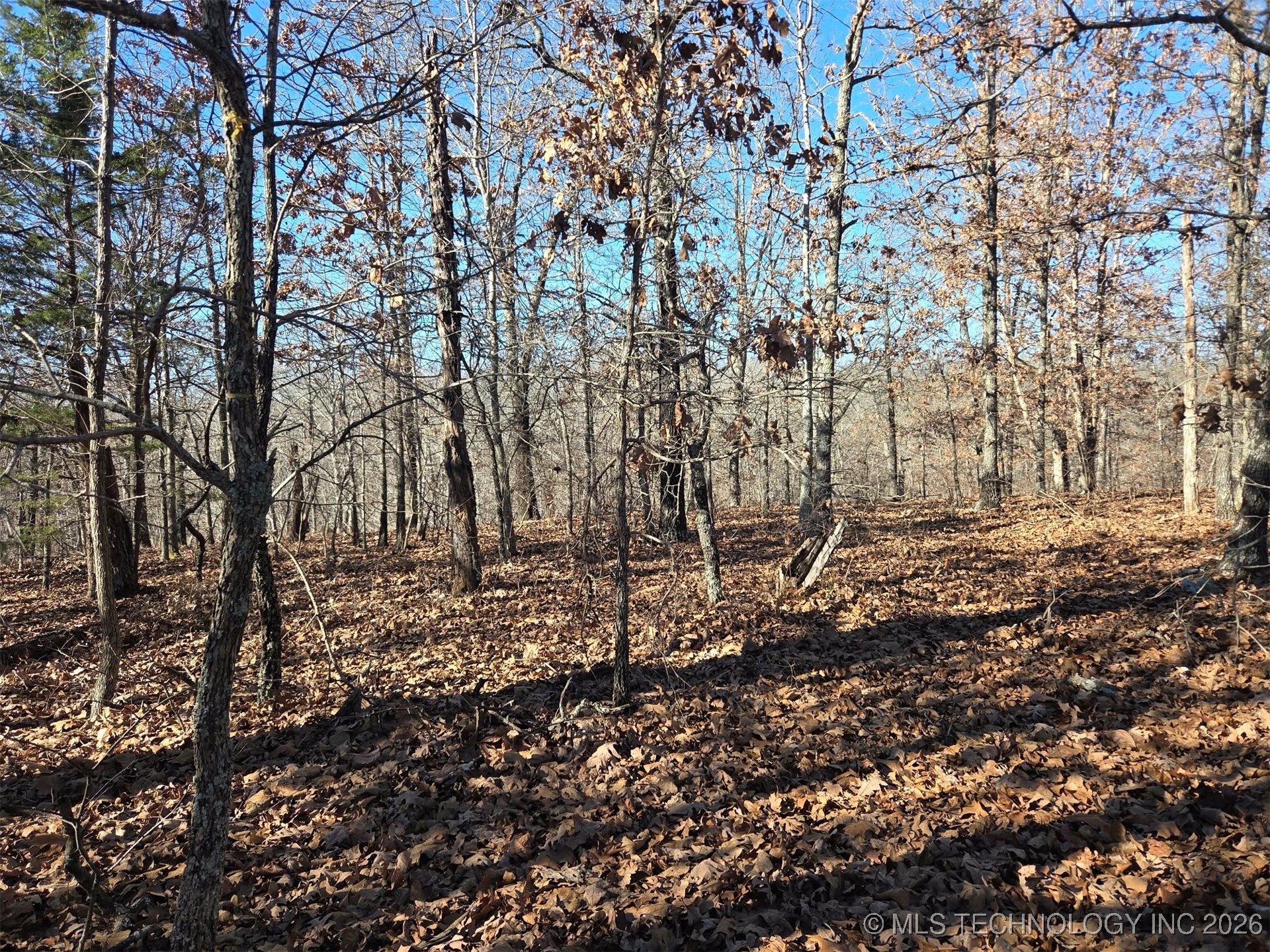 465030 Mcspadden Ridge Property Photo 9