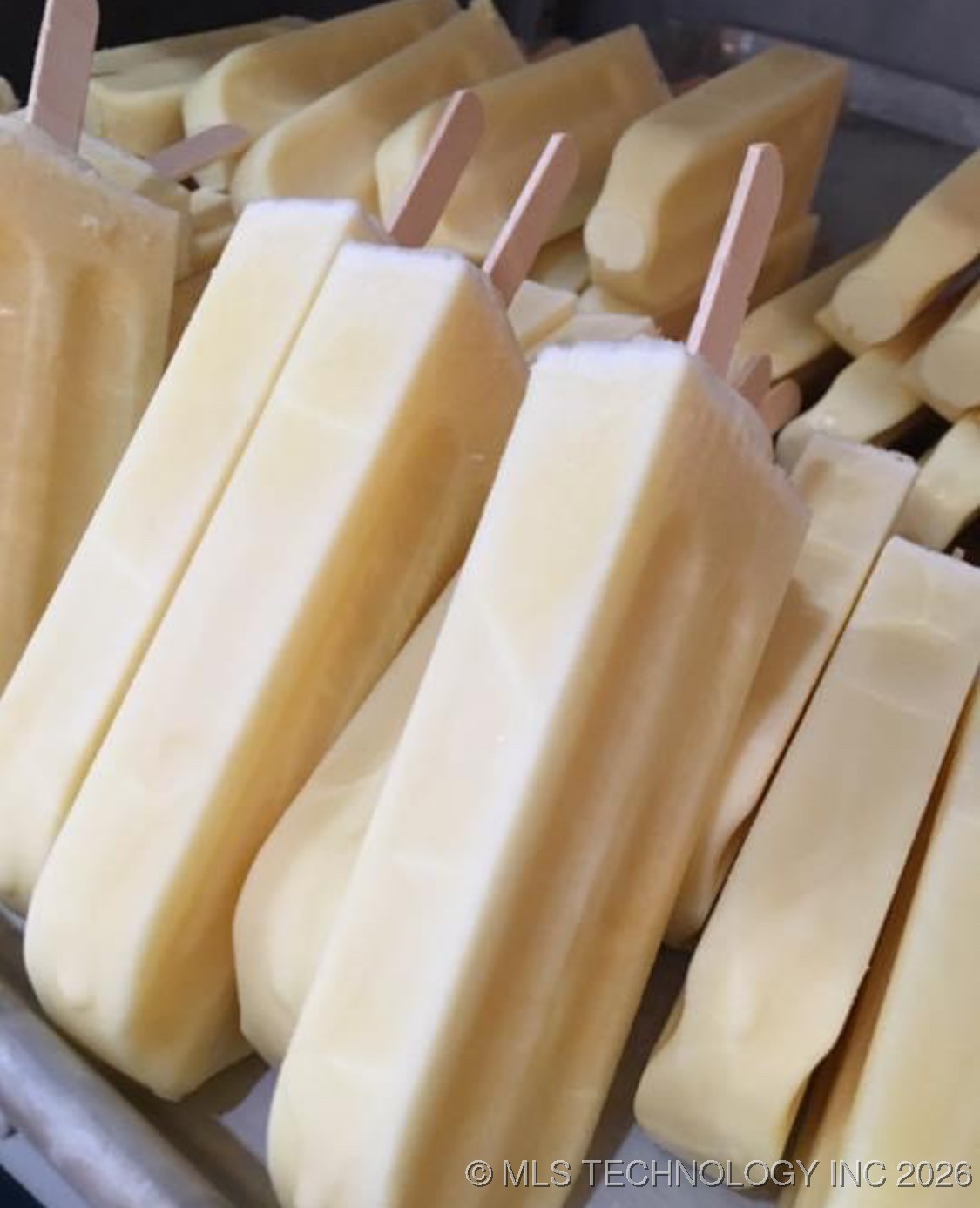 117 Caddo Street Property Photo 6