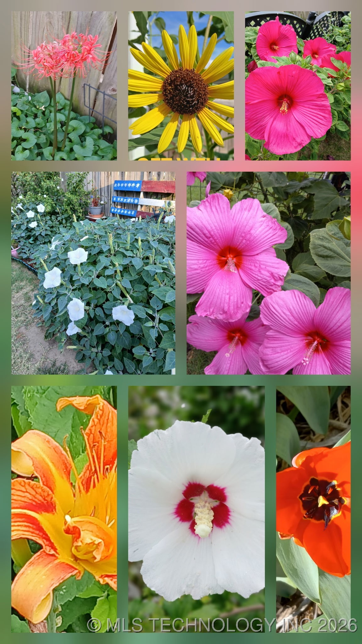 2106 N Quincy Property Photo 20