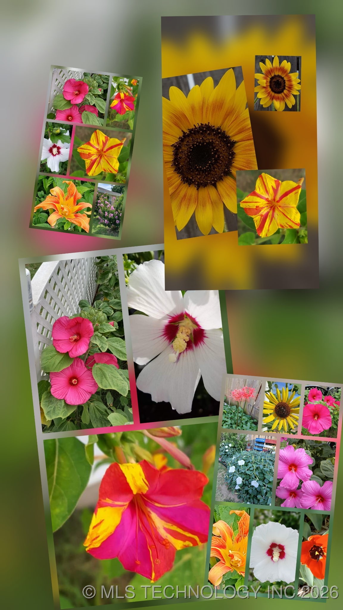 2106 N Quincy Property Photo 22