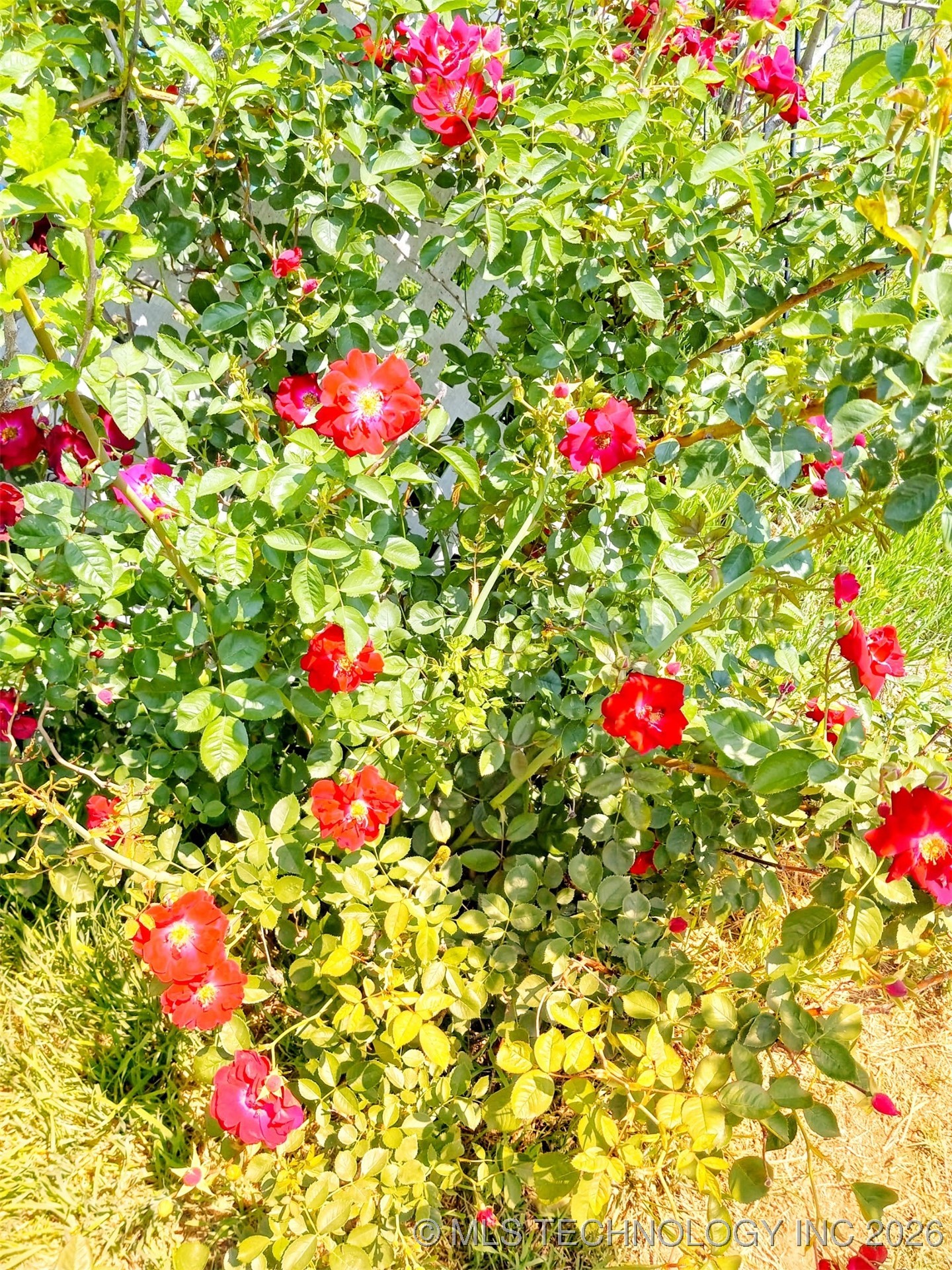 2106 N Quincy Property Photo 23