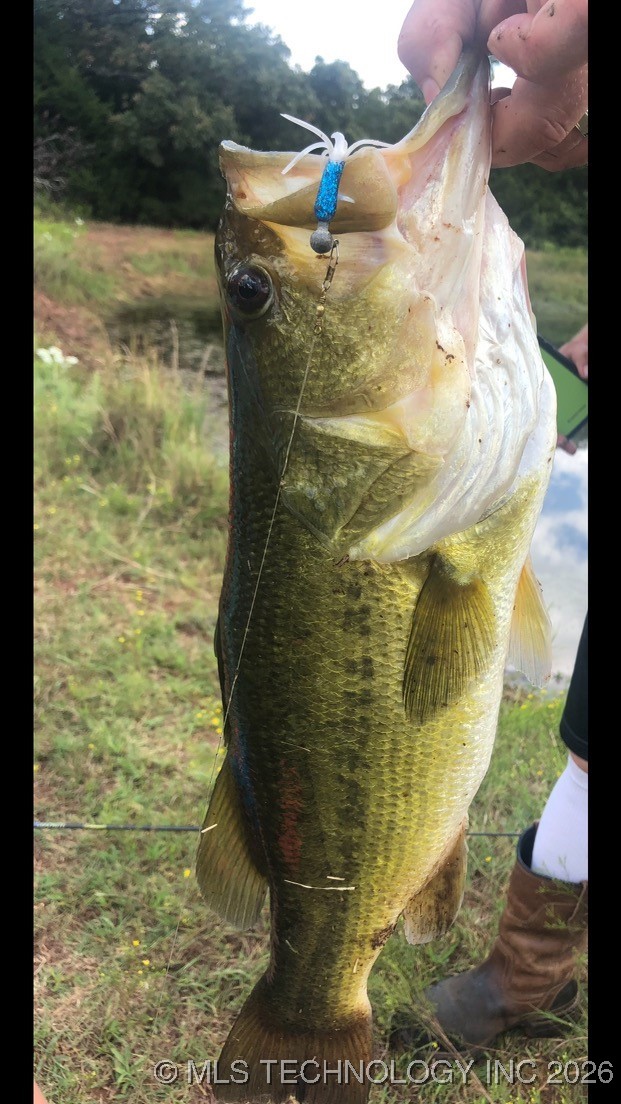 29705 Harvest Road Property Photo 57