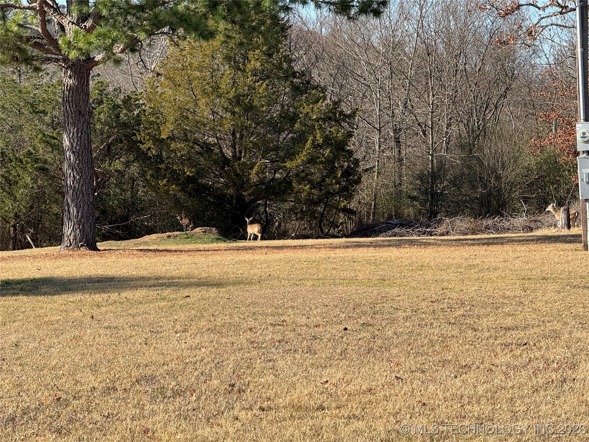 197 Crosstimbers Road Property Photo 32