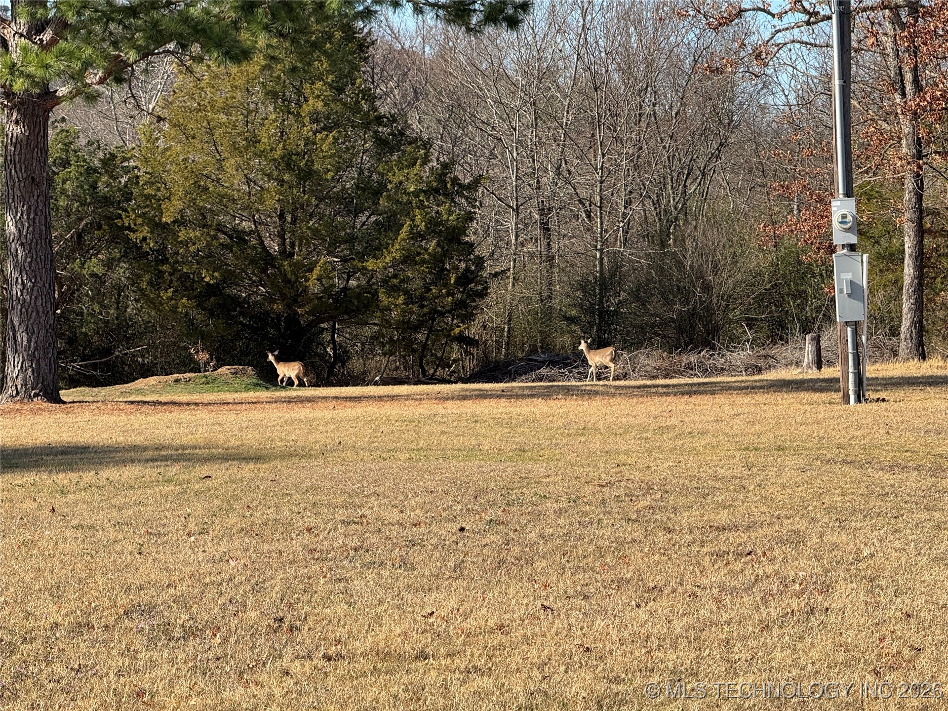 197 Crosstimbers Road Property Photo 33