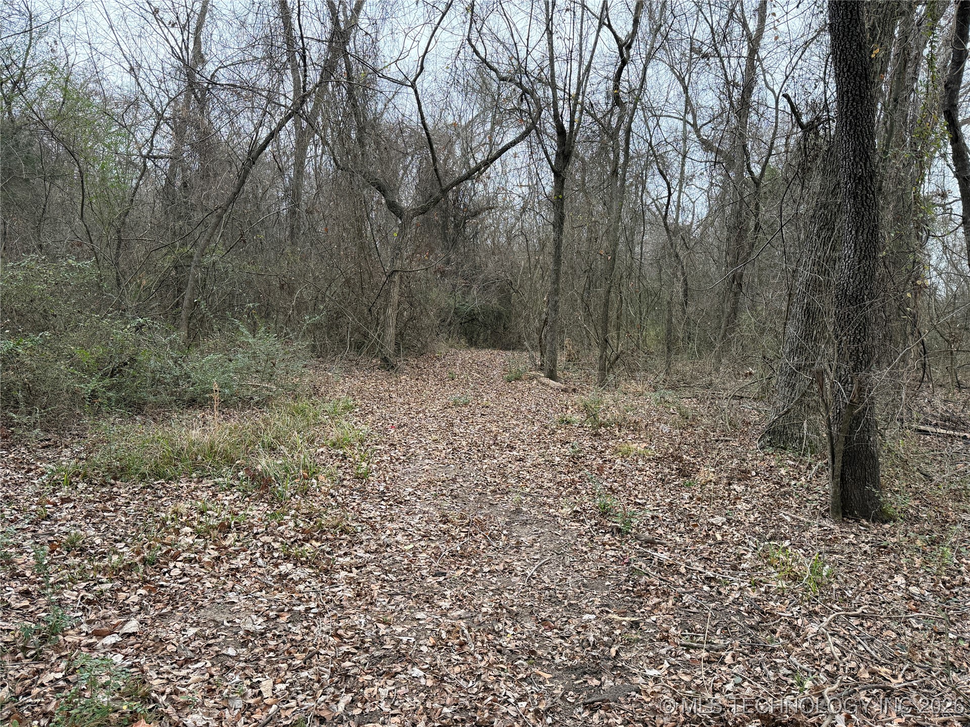 0001 Forest Lane Property Photo 31