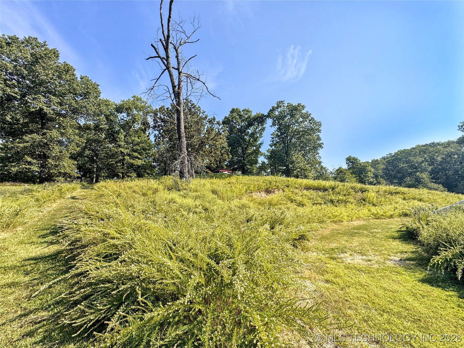 23536 E 873 Road Property Photo 79