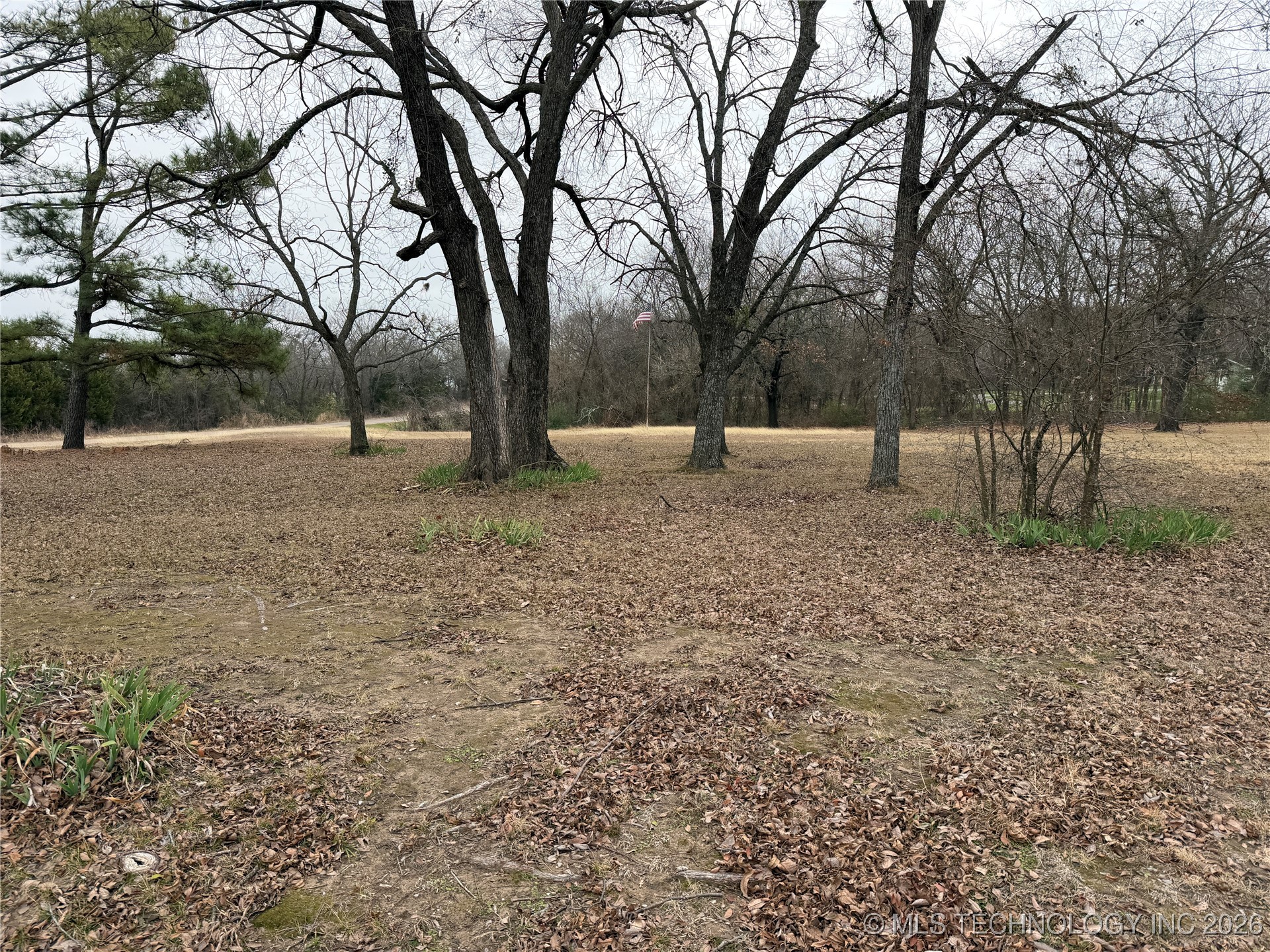 Forest Lane Property Photo 4