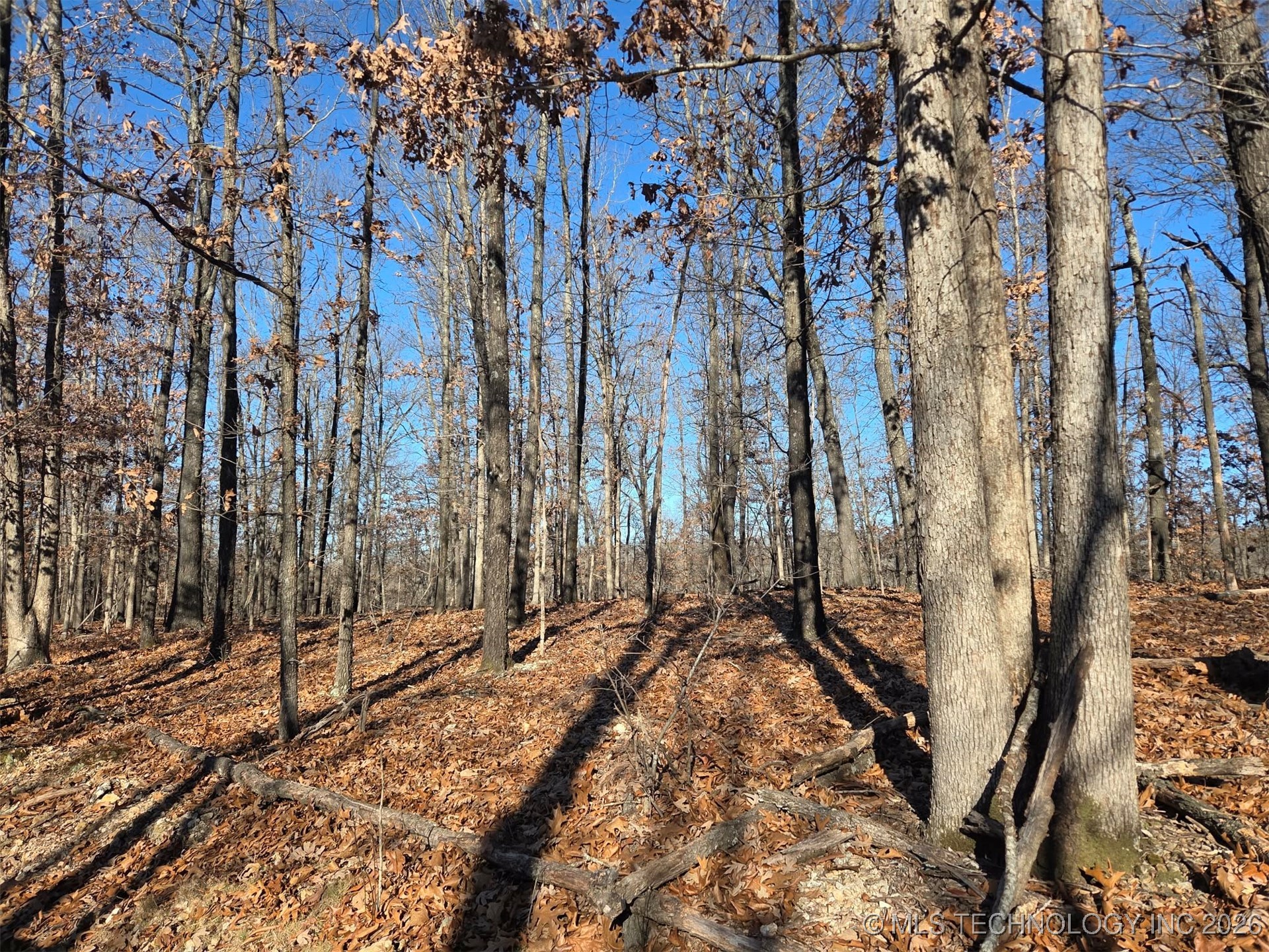 Pigeon Ridge Property Photo 3