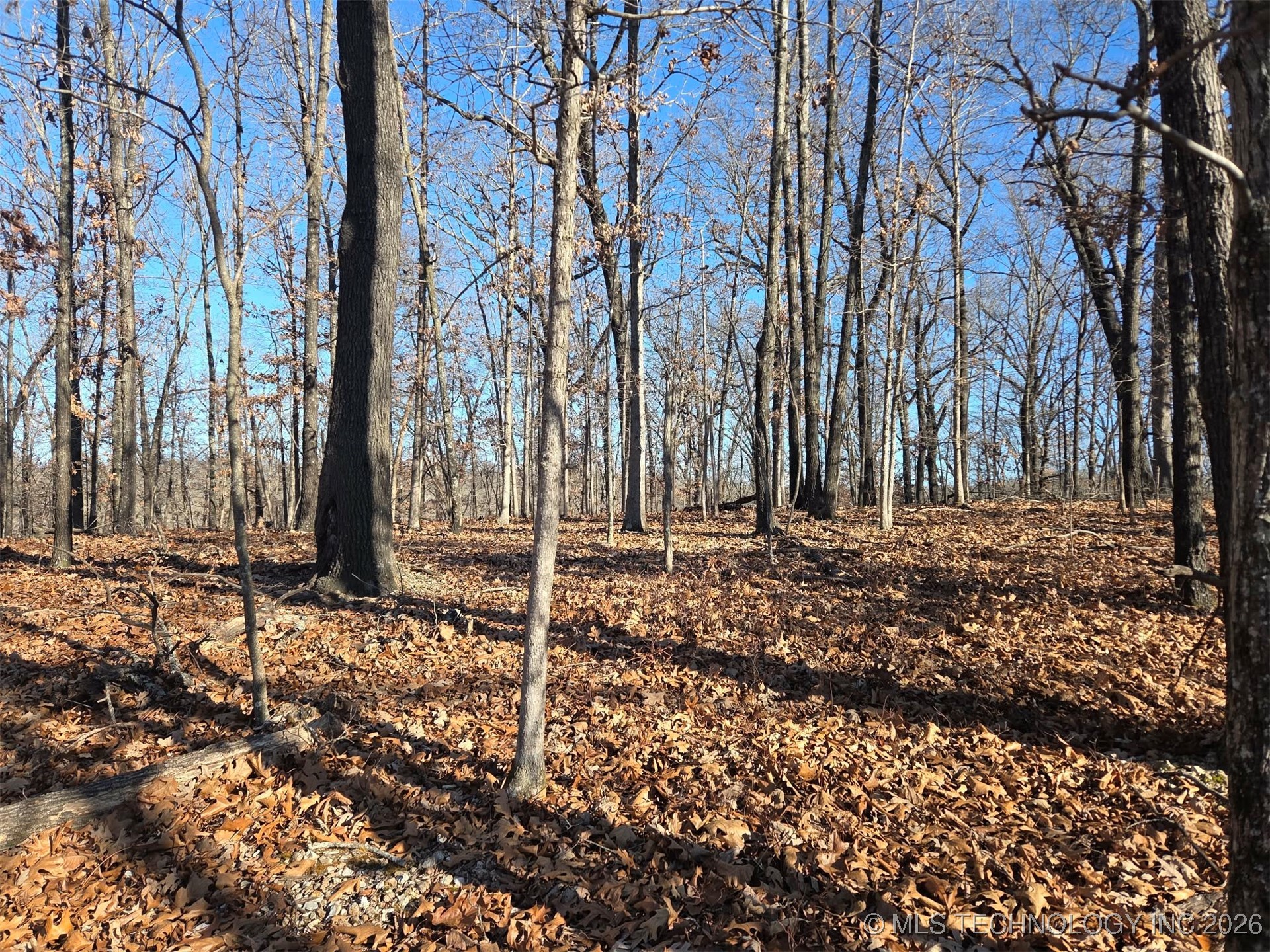 Pigeon Ridge Property Photo 4