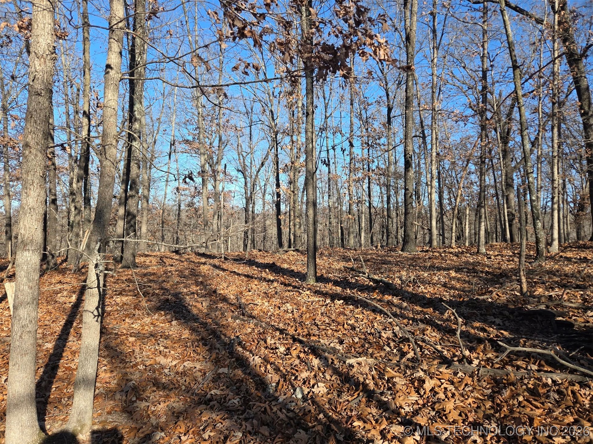 Pigeon Ridge Property Photo 5