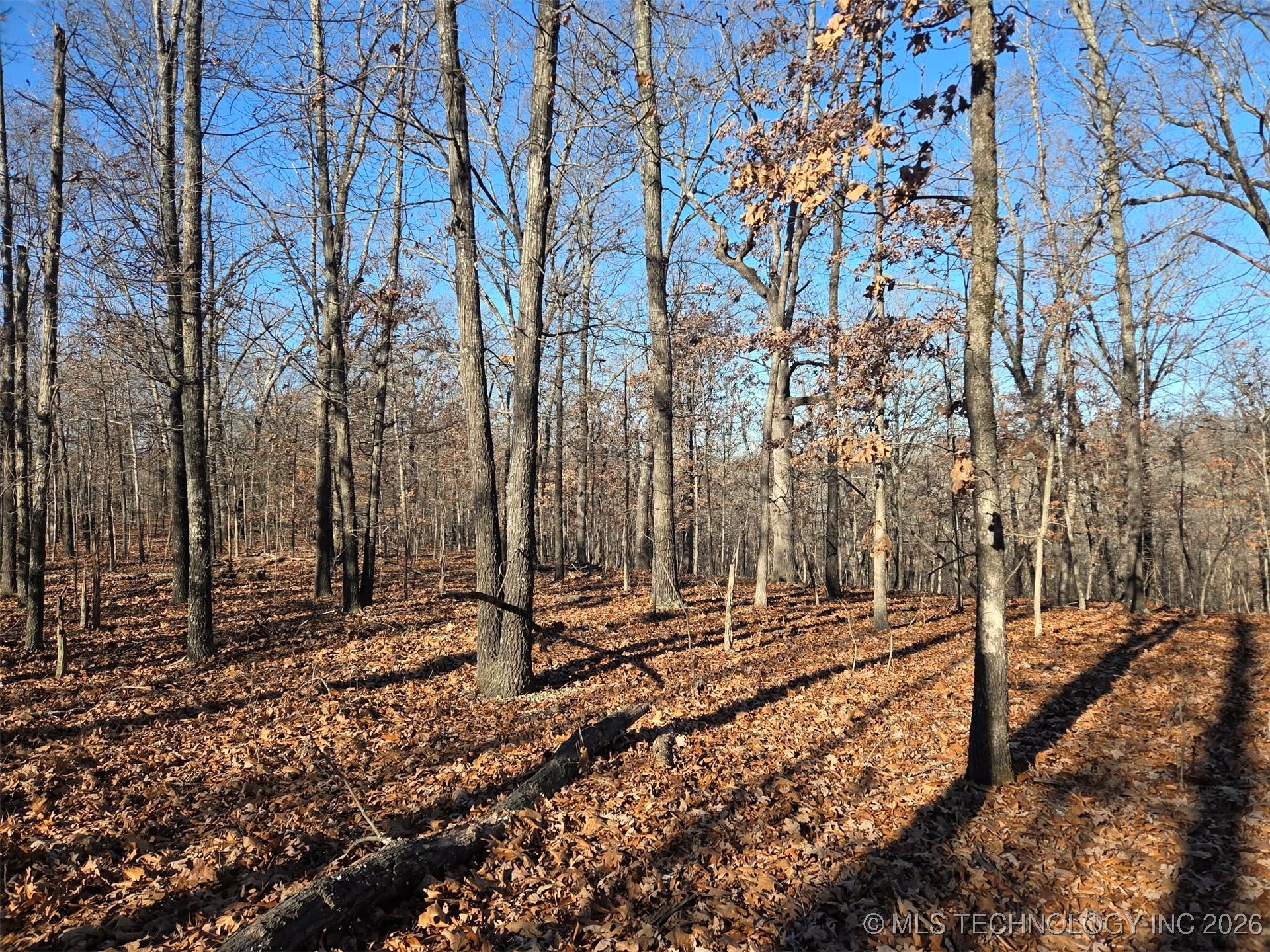 Pigeon Ridge Property Photo 6