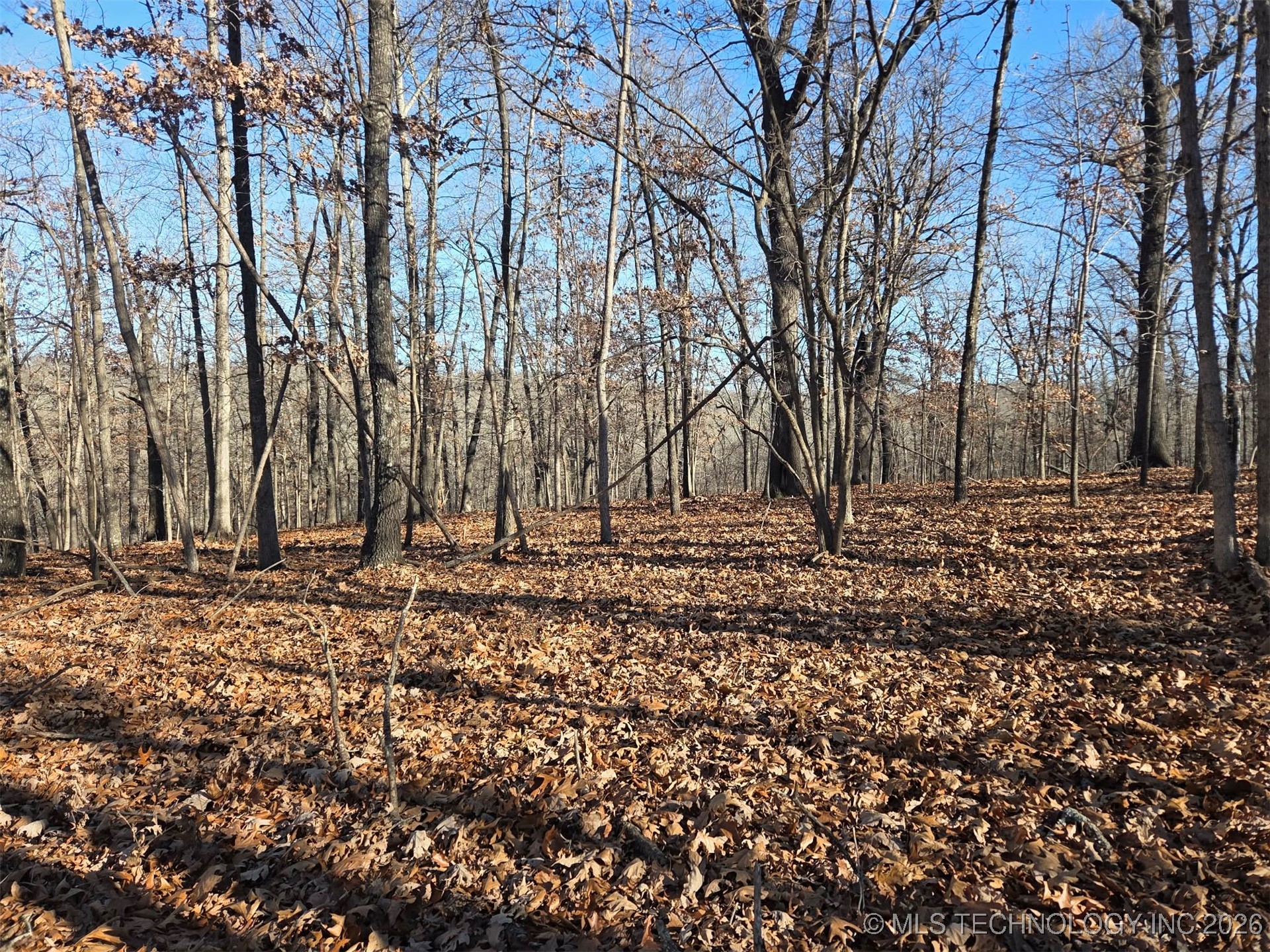 Pigeon Ridge Property Photo 7