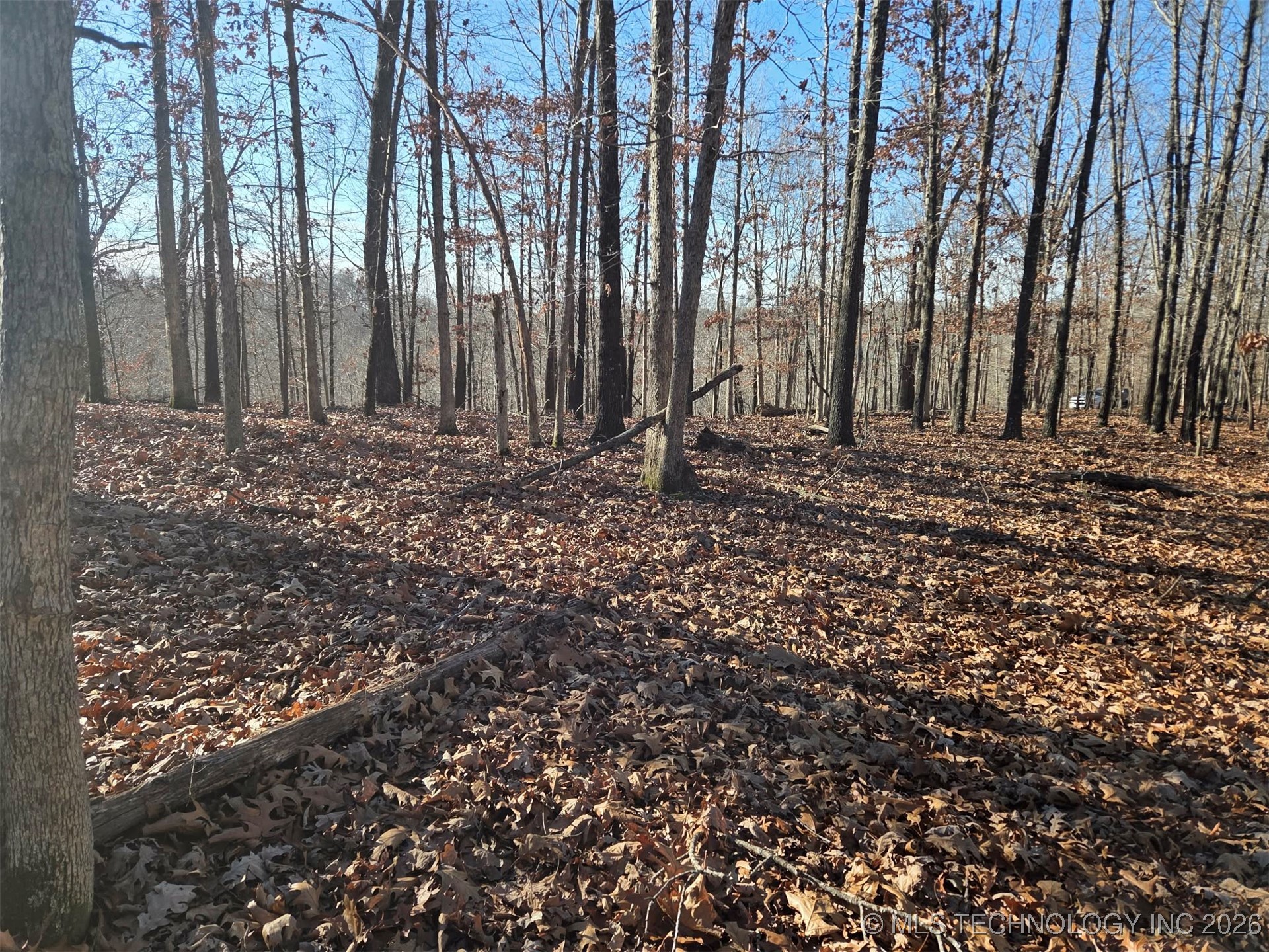 Pigeon Ridge Property Photo 8