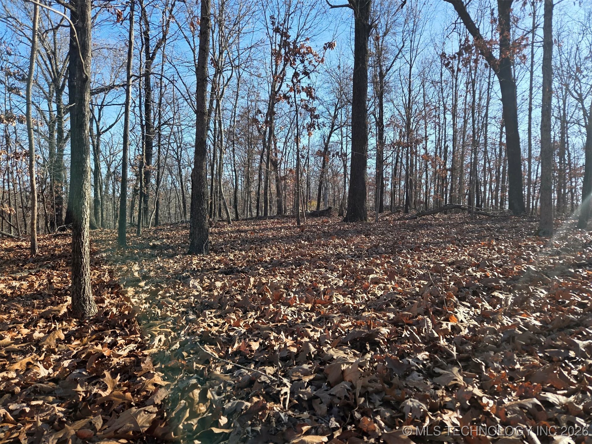 Pigeon Ridge Property Photo 9