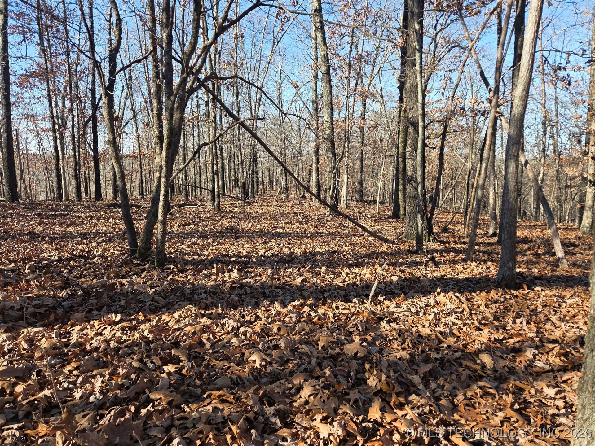 Pigeon Ridge Property Photo 10