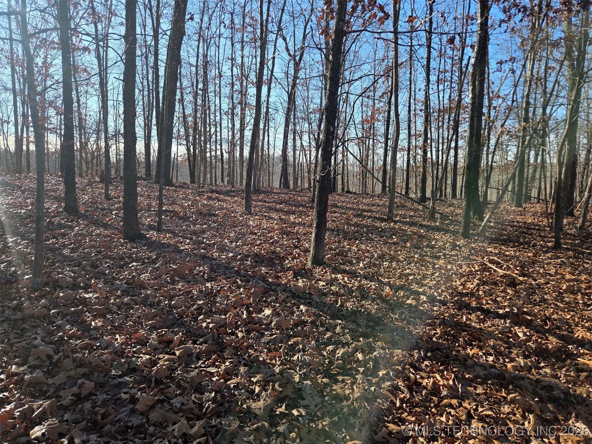 Pigeon Ridge Property Photo 11