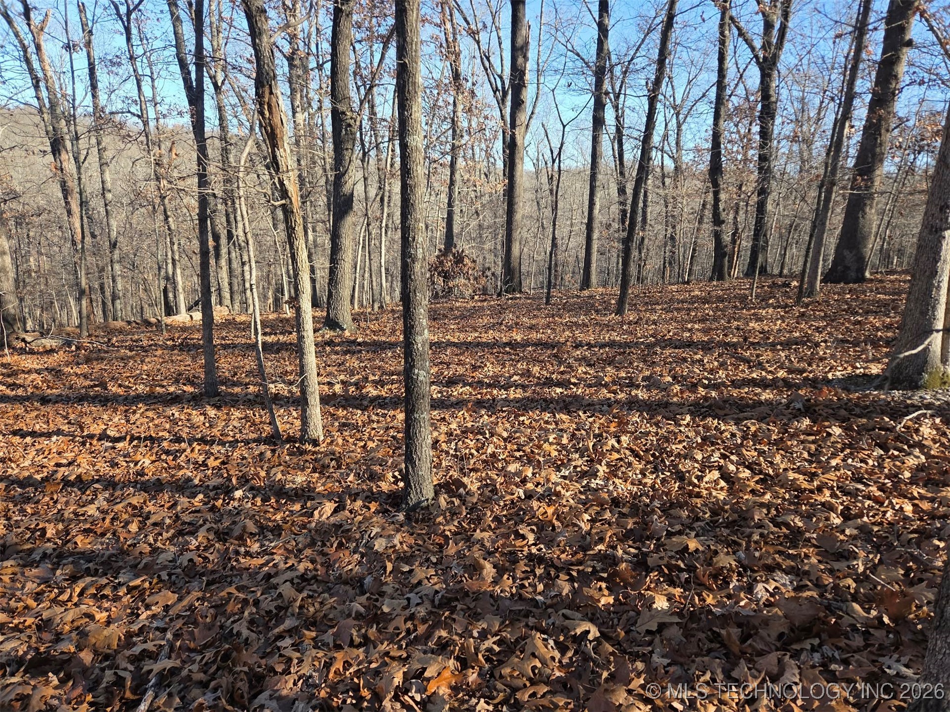 Pigeon Ridge Property Photo 12