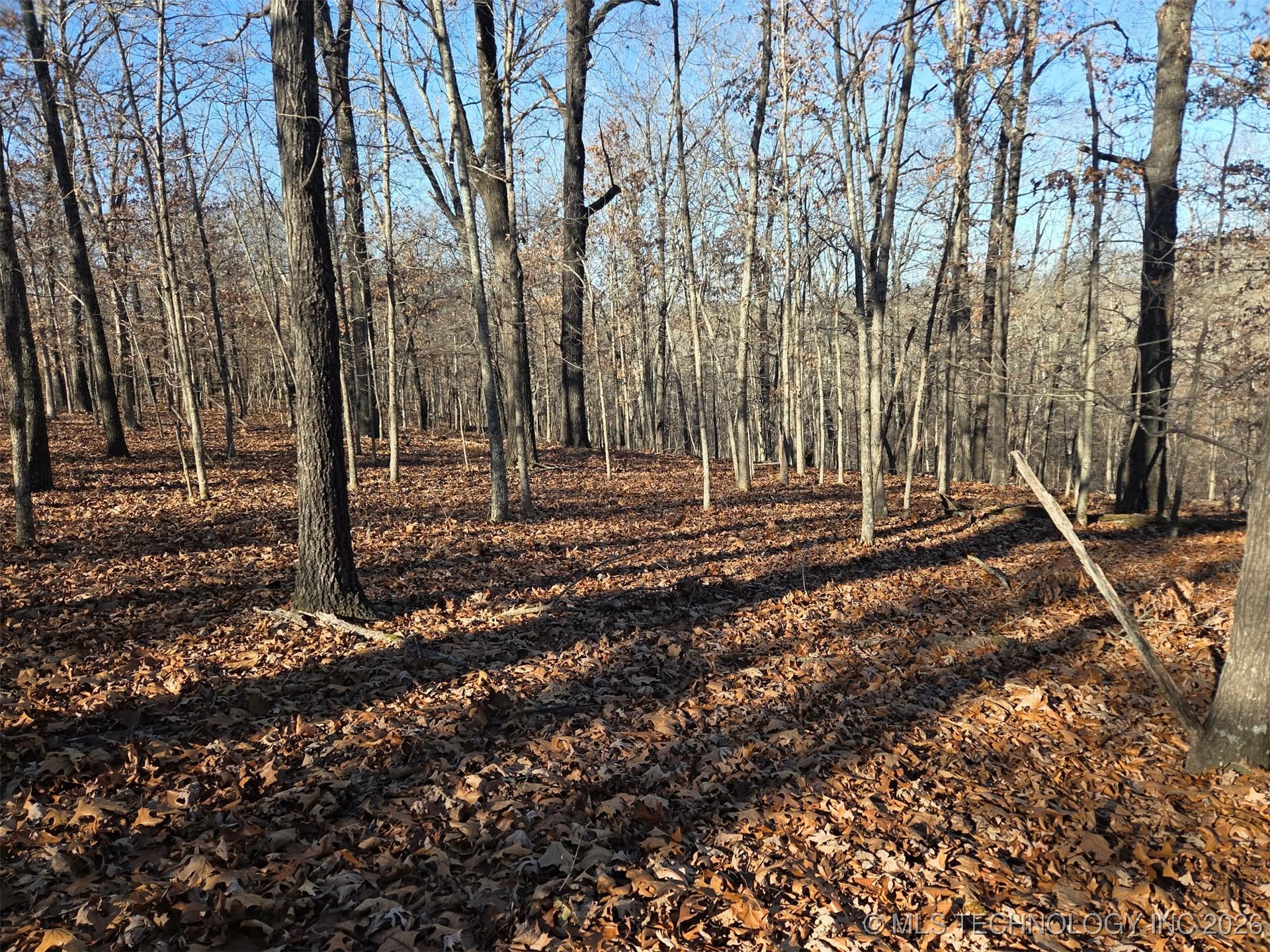 Pigeon Ridge Property Photo 13