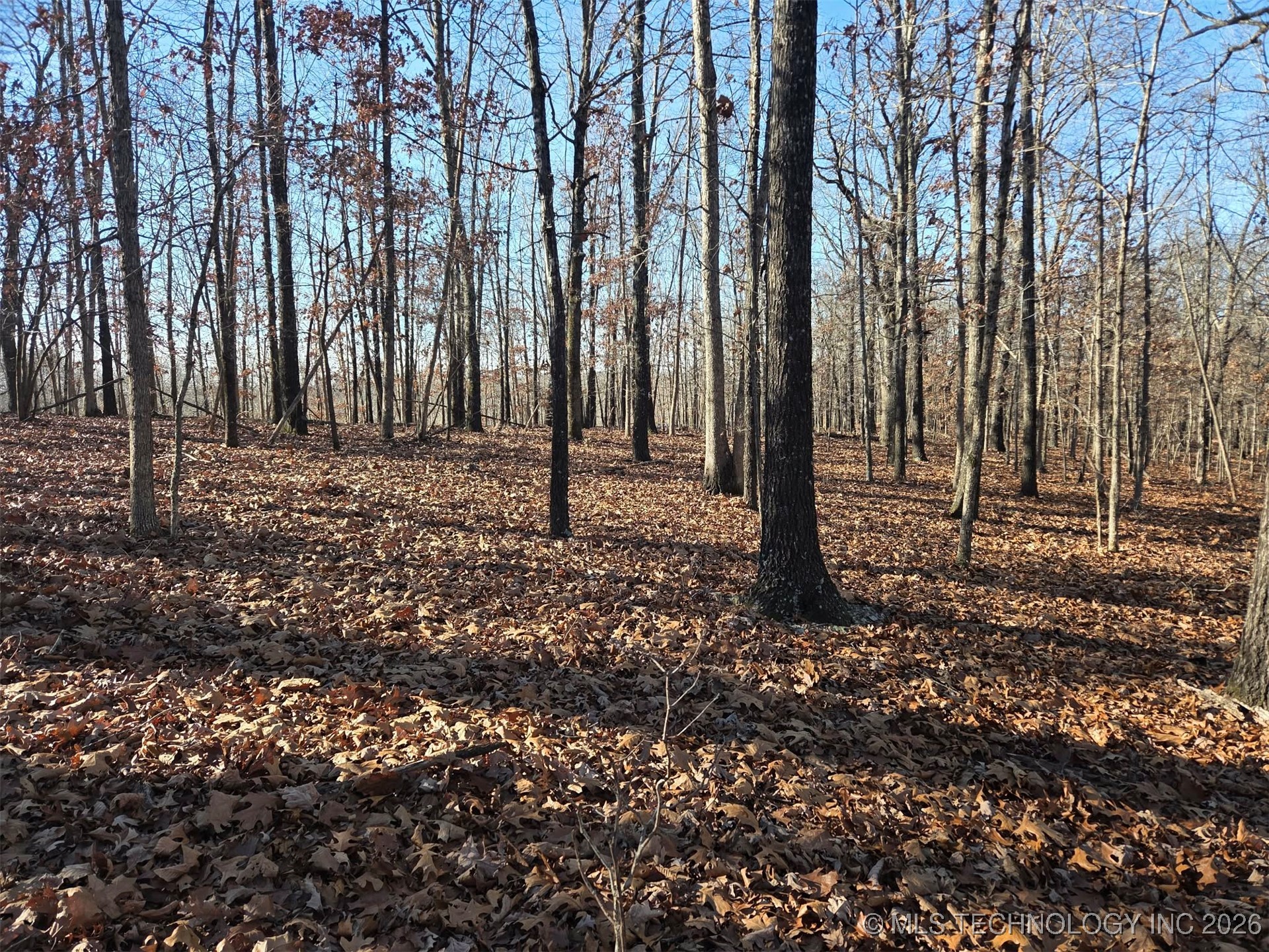 Pigeon Ridge Property Photo 14