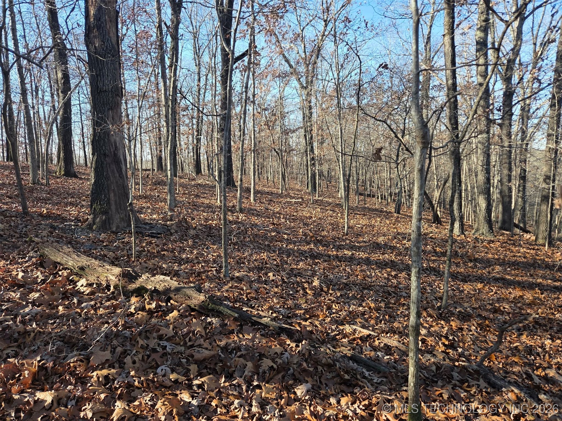 Pigeon Ridge Property Photo 15