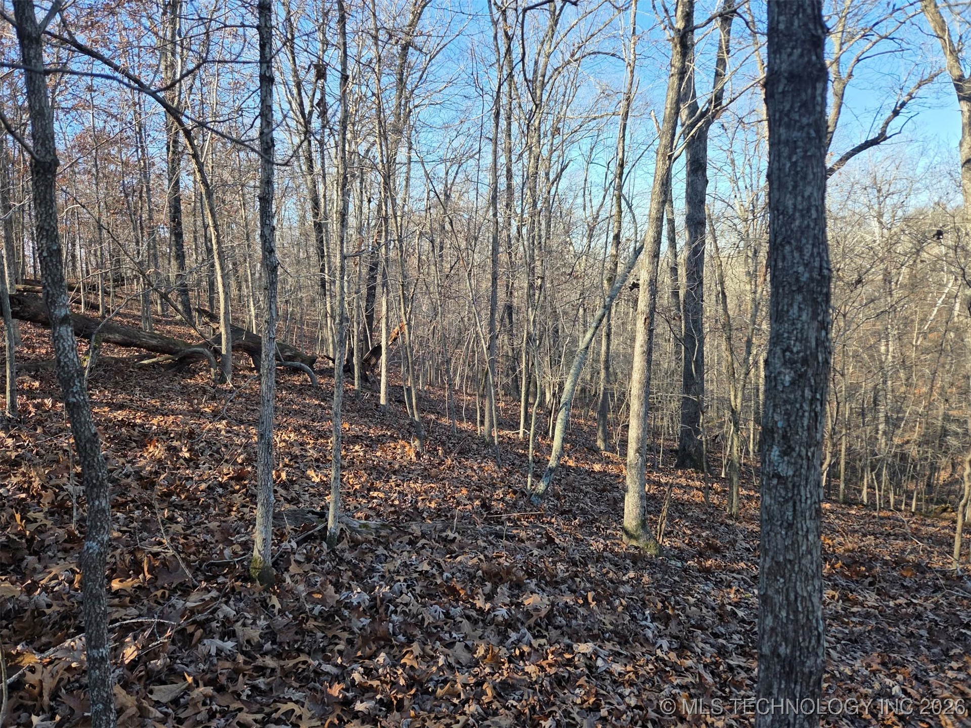 Pigeon Ridge Property Photo 16