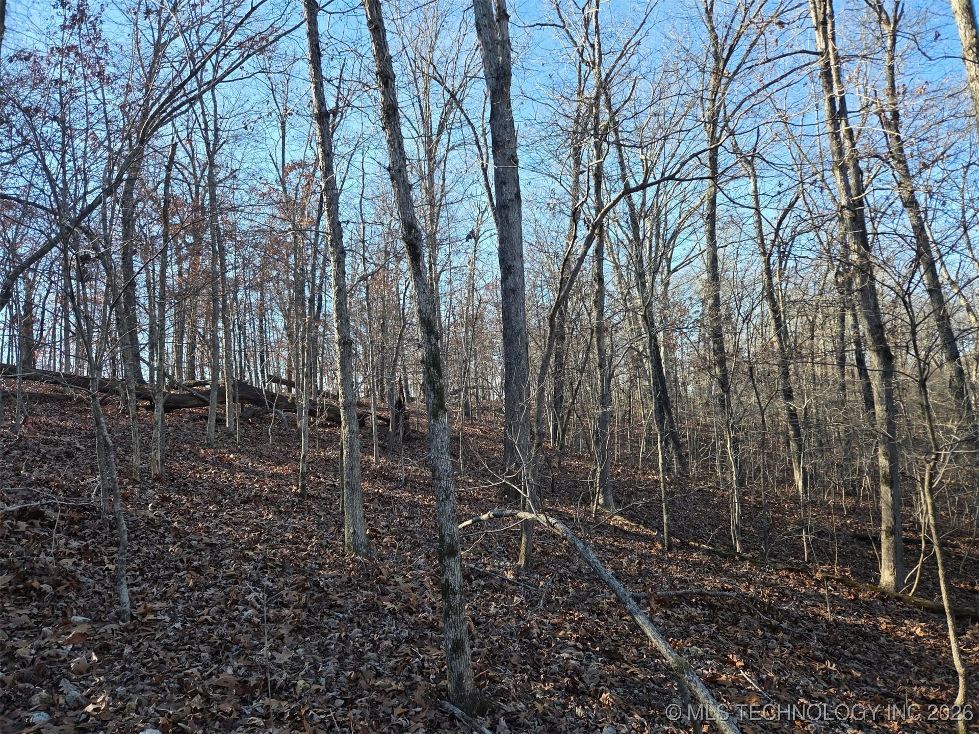 Pigeon Ridge Property Photo 17