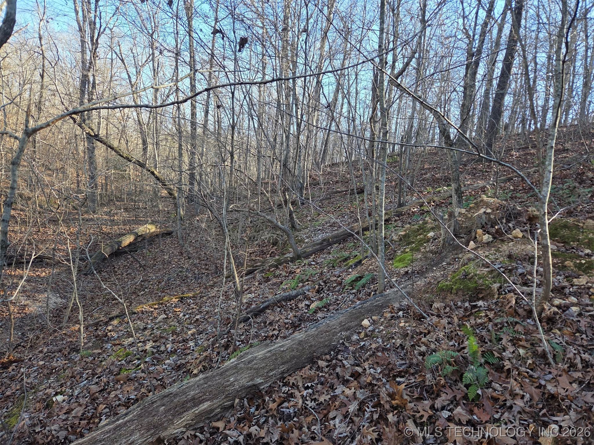 Pigeon Ridge Property Photo 18