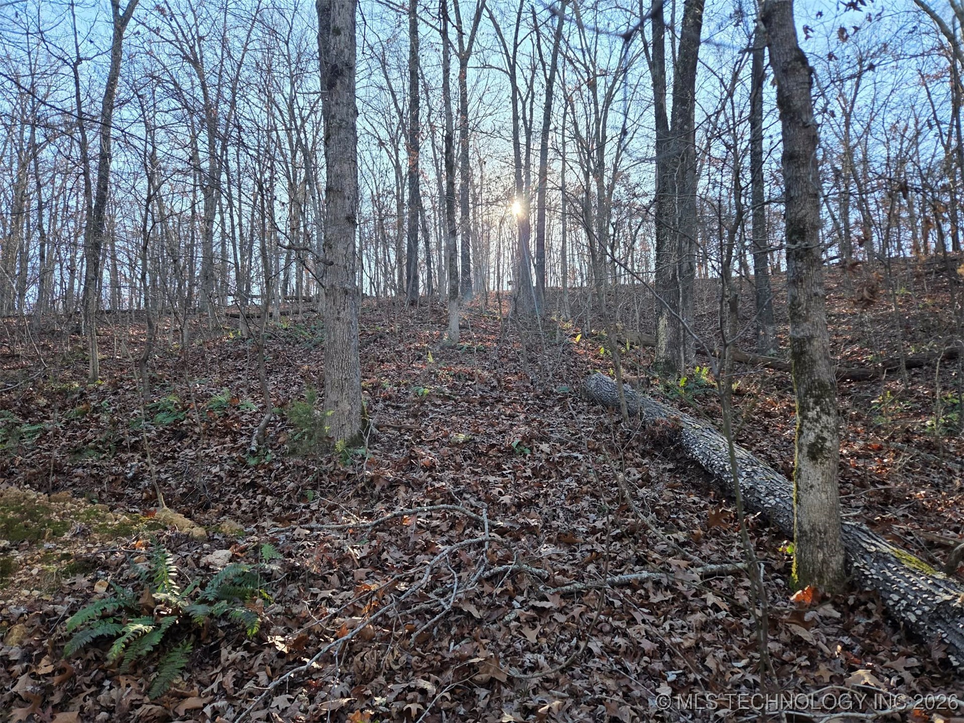 Pigeon Ridge Property Photo 19