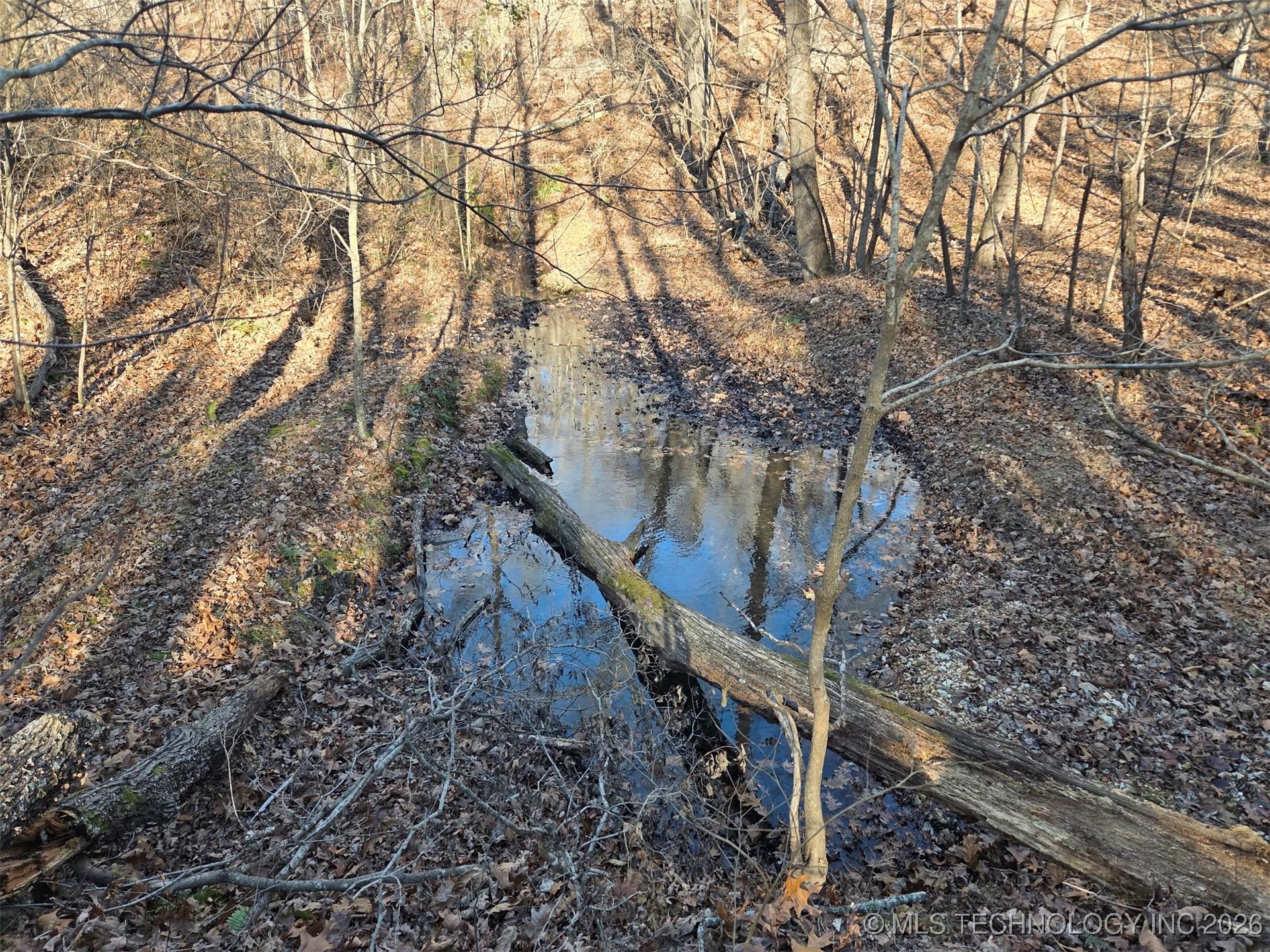 Pigeon Ridge Property Photo 20