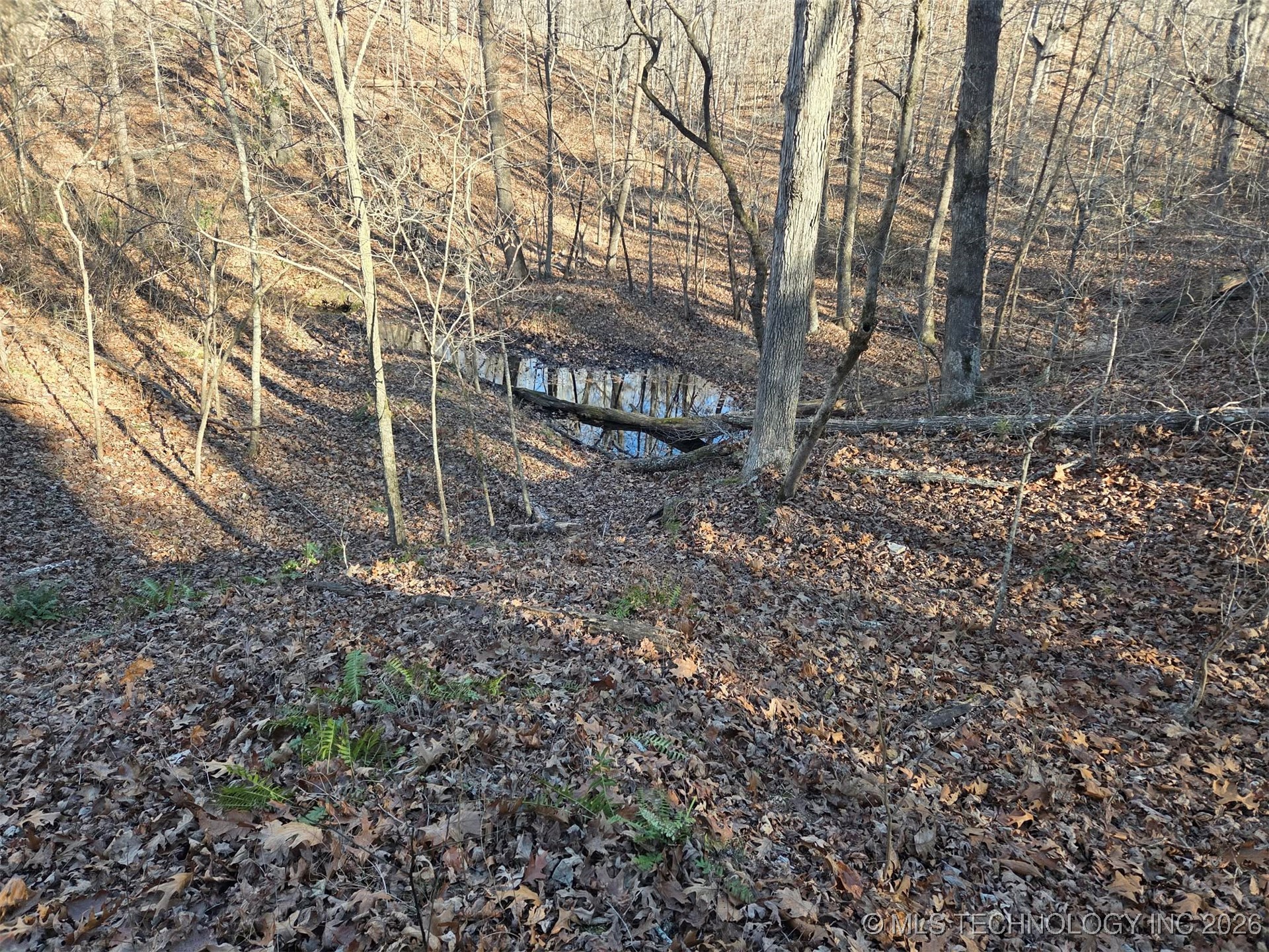 Pigeon Ridge Property Photo 21