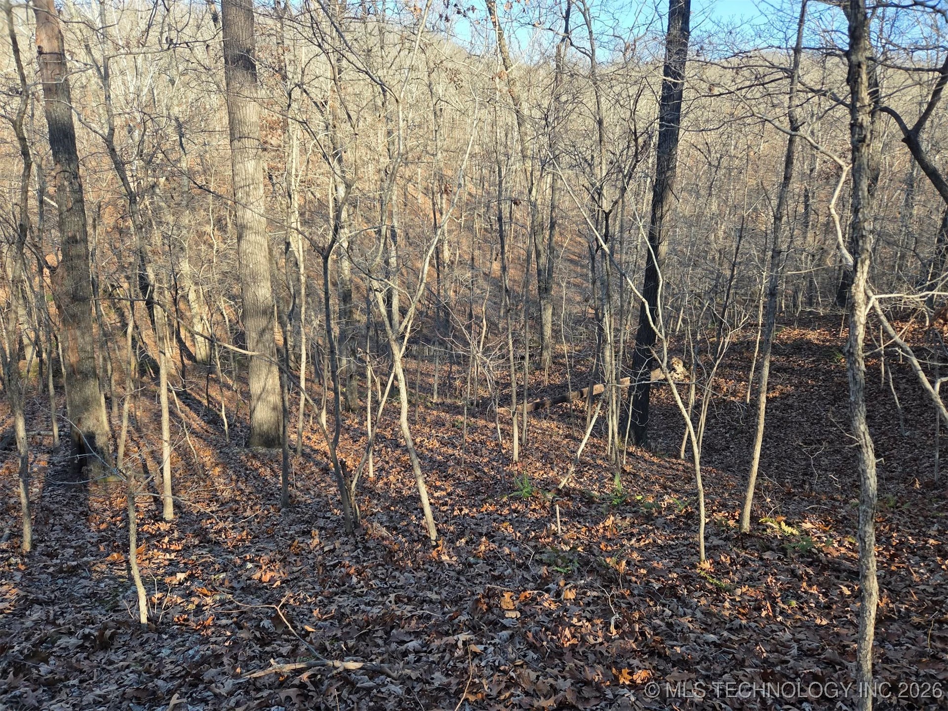 Pigeon Ridge Property Photo 22